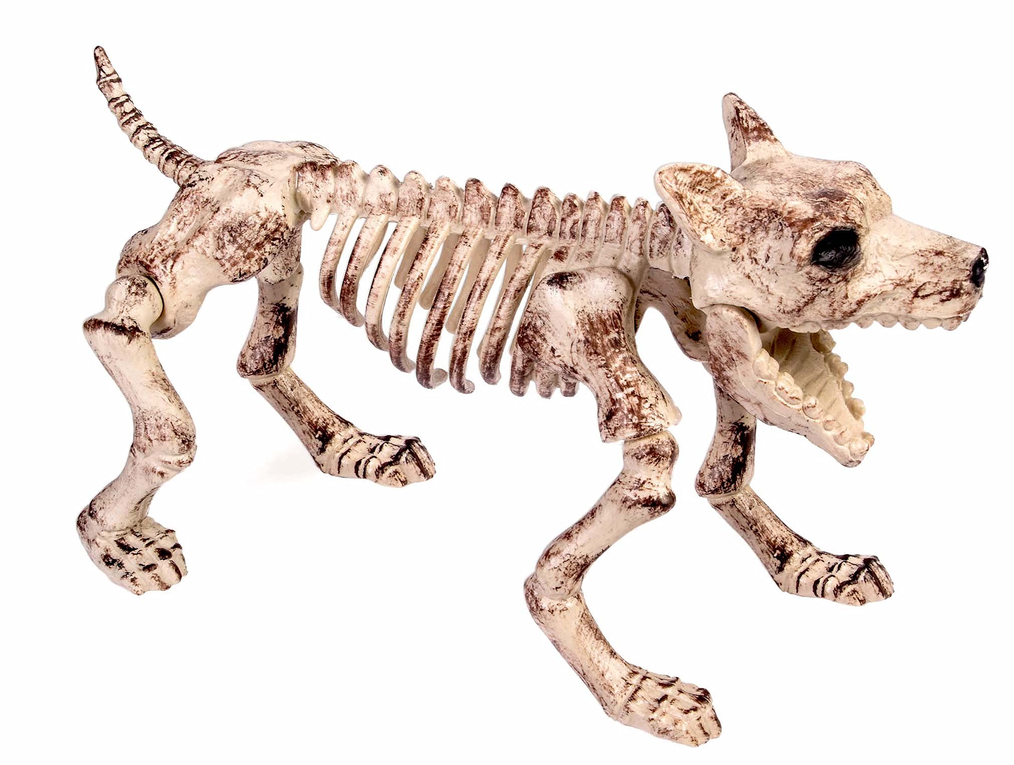Forum Novelties Skeleton Dog Decoration, Small