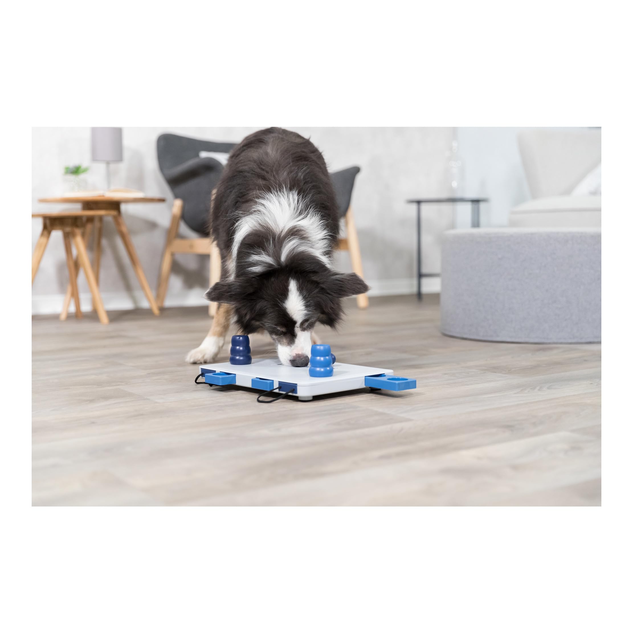 TRIXIE Move-2-Win, Level 3, blue and white (32025)