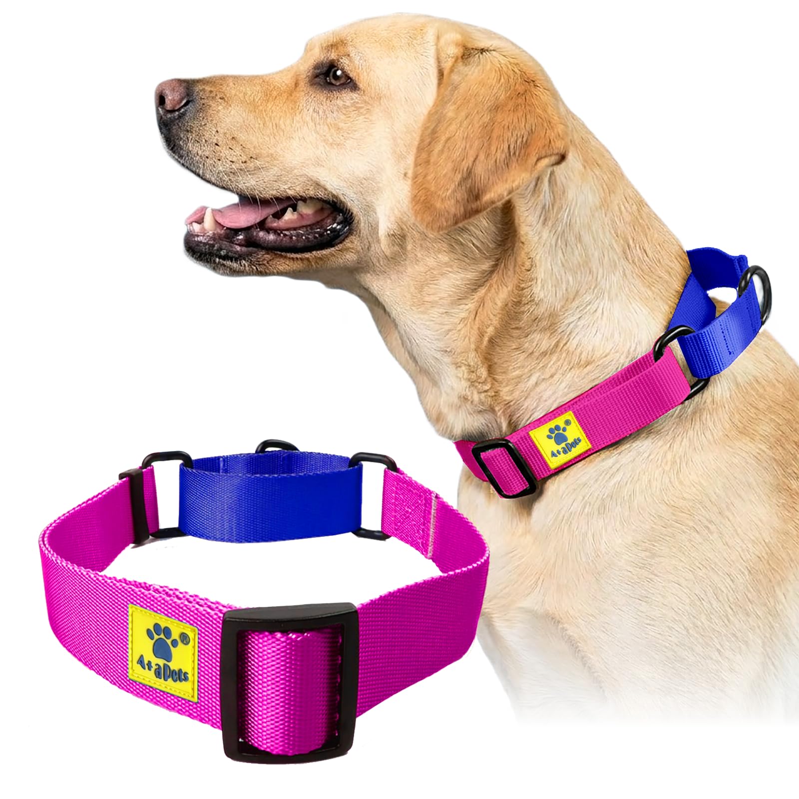 A+A Pets Martingale Dog Collar | No Pull Design, No Neck Strain, No Choke Design | For Large & Medium Dogs | Rust Free, Waterpro
