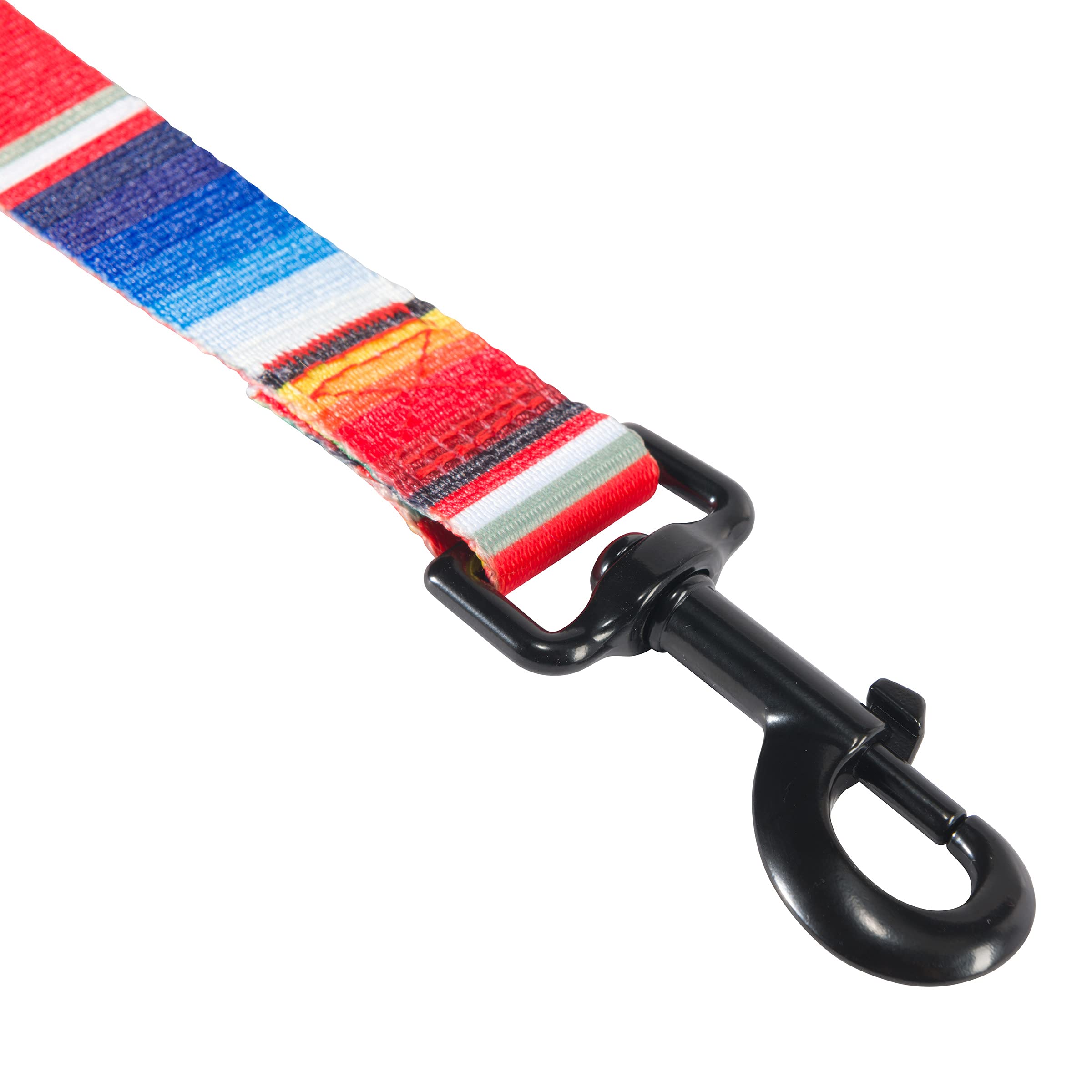 Hooey Nomad Dog Leash, Durable Polyester Webbing Leash With Graphic-Inspired Prints, Serape Tijuana, 6'