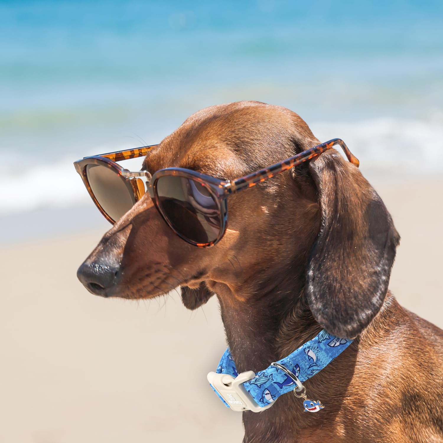 Maca Bates Summer Shark Basic Collar For Dog Adjustable Durable Soft Comfortable Blue Beach Sharks Dogs Collars Gift For Small M