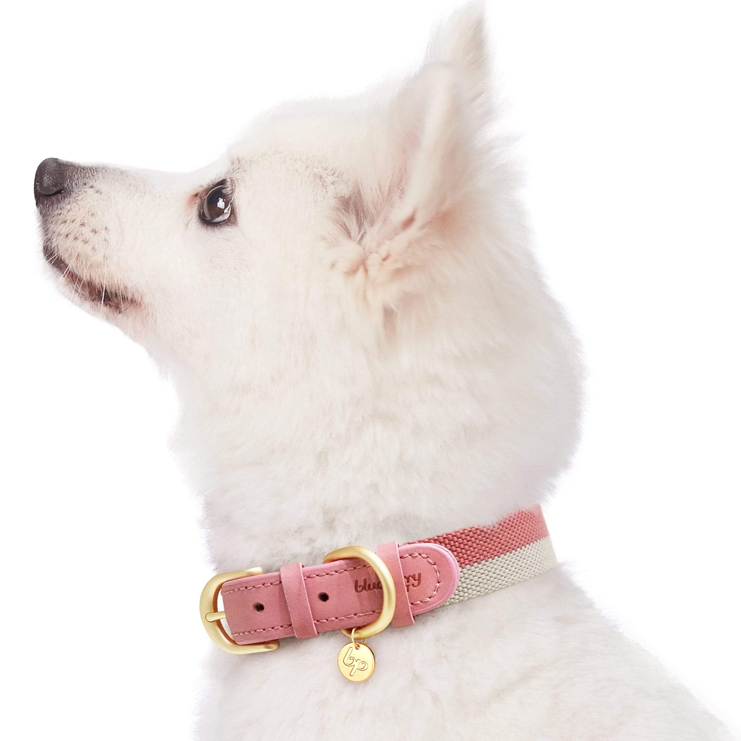 Blueberry Pet Leather Dog Collar For Female Dogs - Pink/Grey Stripes, Medium, 15-18 Neck, Stylish Design