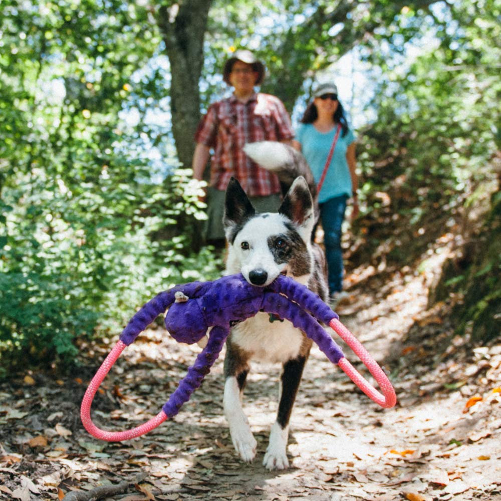 Zippypaws - Ropetugz, Squeaky And Plush Rope Tug Dog Toy - Monkey, Purple