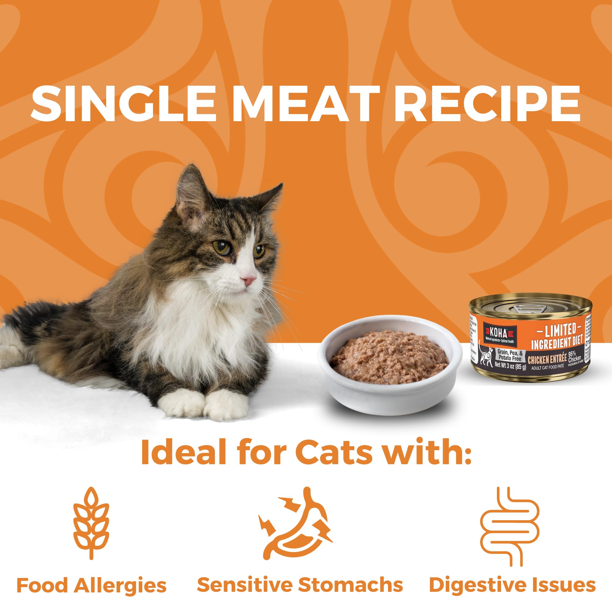KOHA Limited Ingredient Diet Chicken Pate for Cats - Single Meat Wet Cat Food for Sensitive Stomachs - Pate Cat Food with No Fil