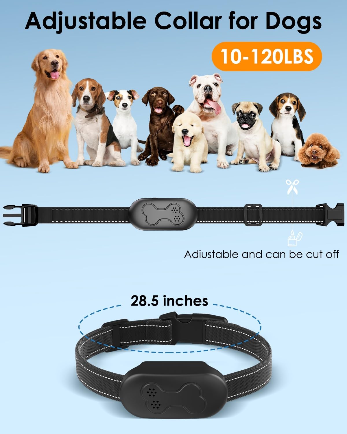 DDZ Dog Shock Collar with Remote Control, Waterproof, Beep & Vibration, Fits Dogs 10-120 lbs, Black, Model P21