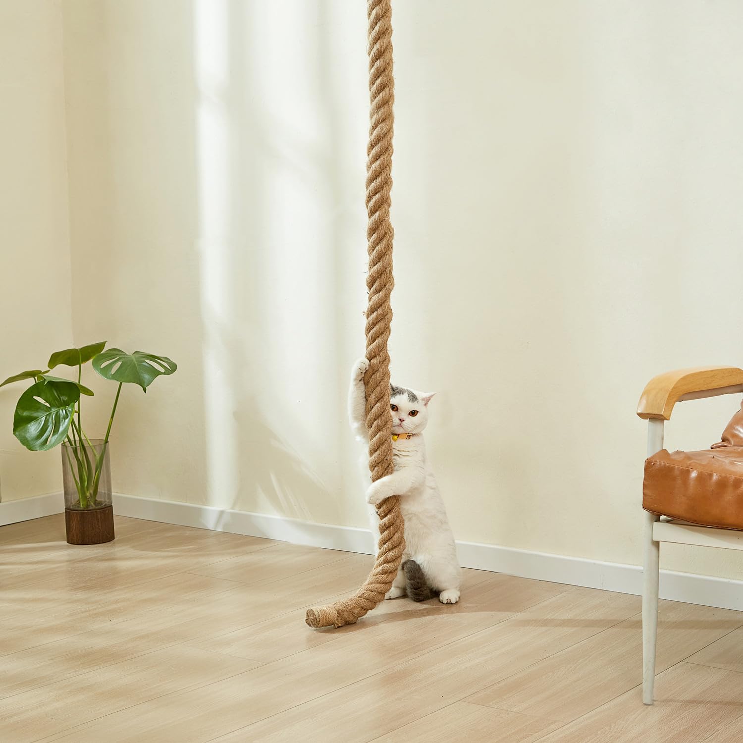 SHENGOCASE Cat Climbing Jute Rope 6.56Ft with Hook, Wall Mounted Furniture for Indoor/Outdoor, Durable Cardboard Material