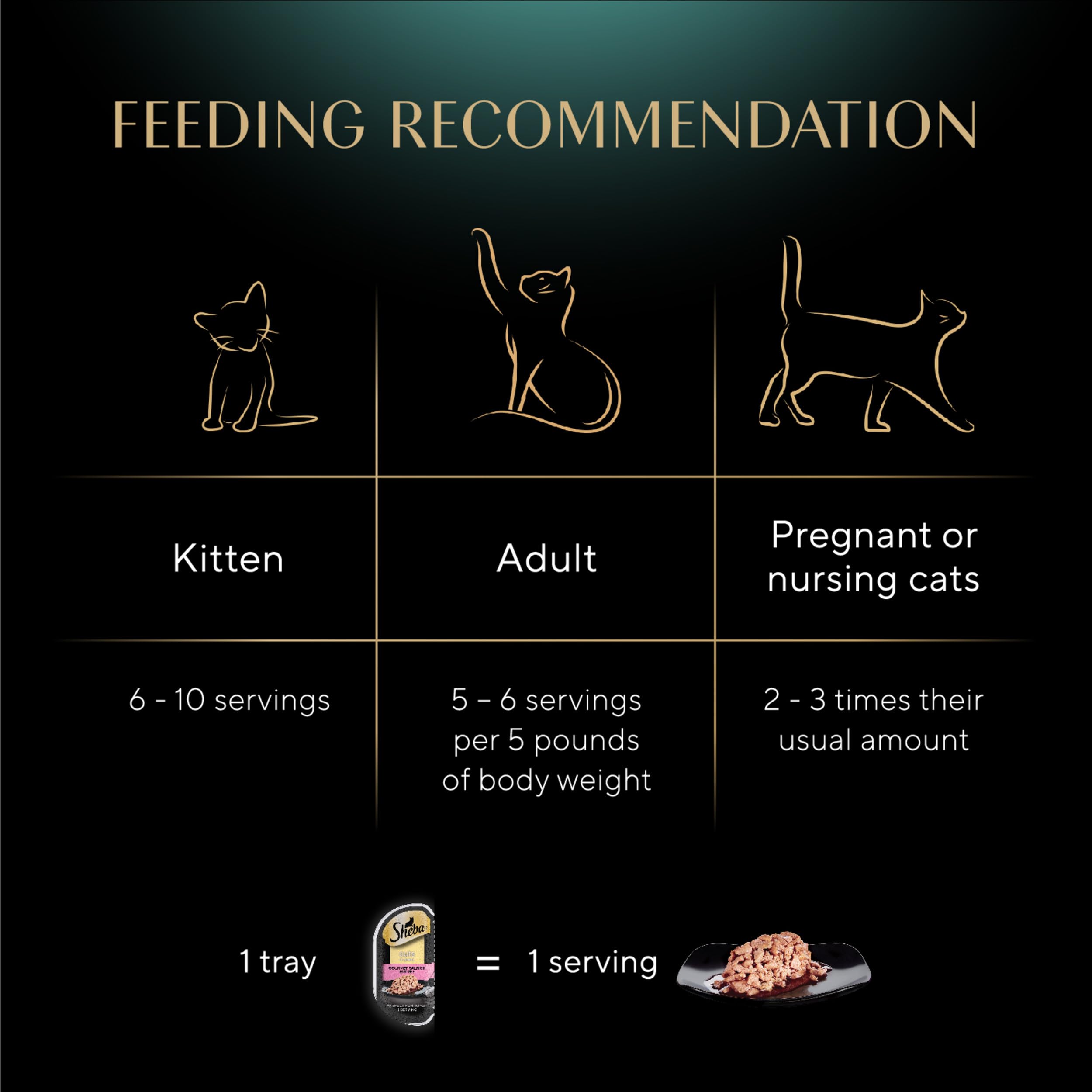 Sheba Perfect Portions Wet Cat Food Cuts in Gravy with Sustainable Salmon, 2.6 oz., Twin-Pack Trays (24 Count, 48 Servings)