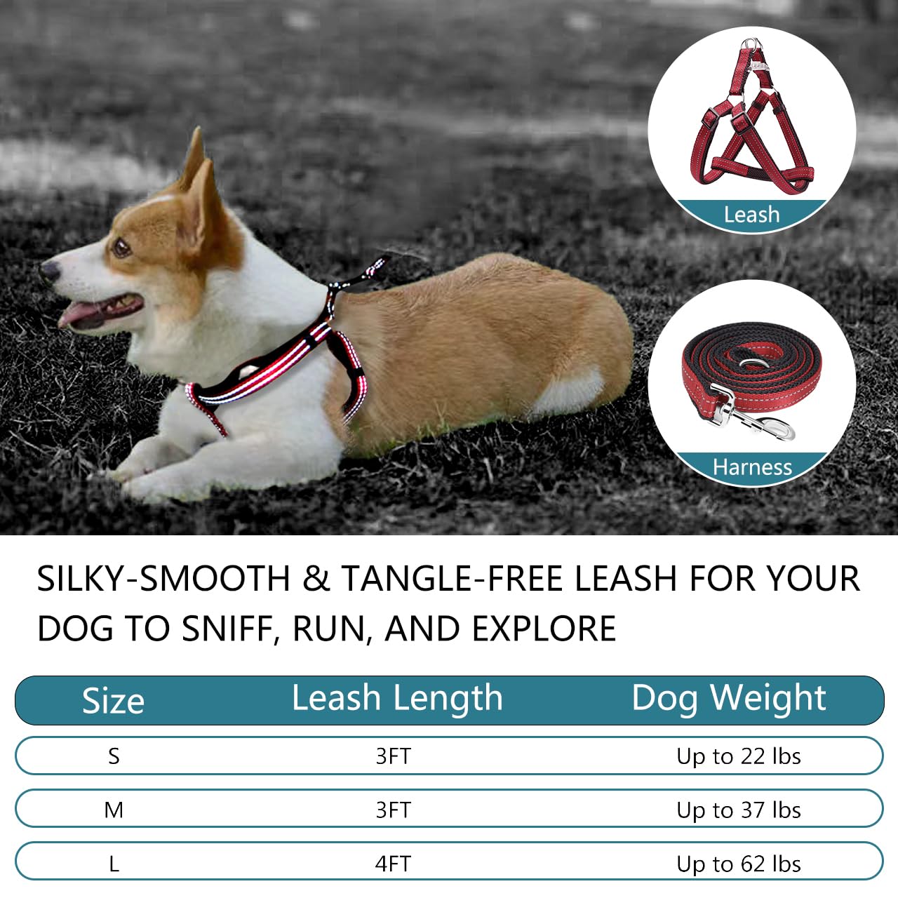 Reflective No-Pull Dog Harness And Leash Set For Medium Dogs - Quick-Release Buckle, Adjustable Step-In Design With Double D-Rin