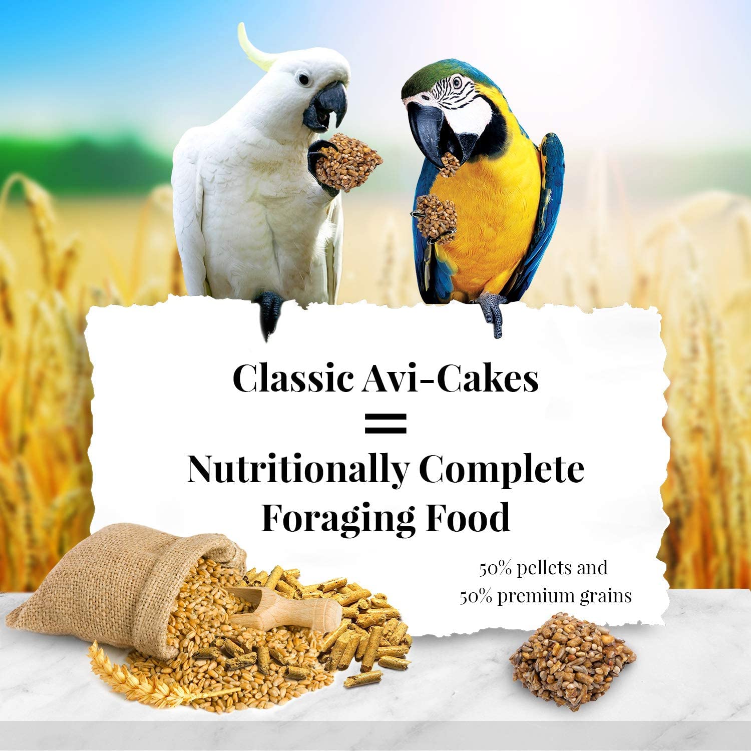 (3 Pack) Lafeber Company Avi-Cakes Macaw and Cockatoo Treat (1 Pound Per Pack)