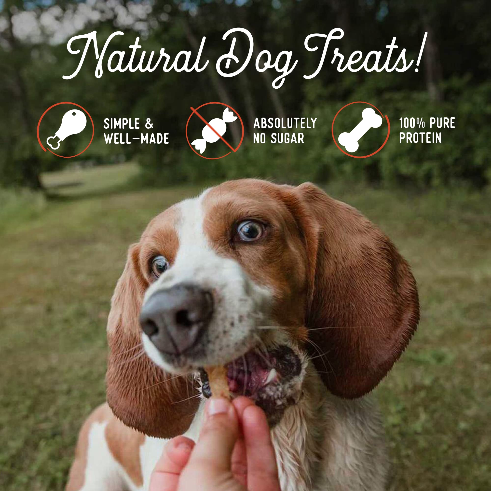 Beg & Barker Pork Jerky for Dogs (10 oz, Pack of 1) - Dog Training Treats - Natural Dog Treats Made in The USA - Grain Free, Dia