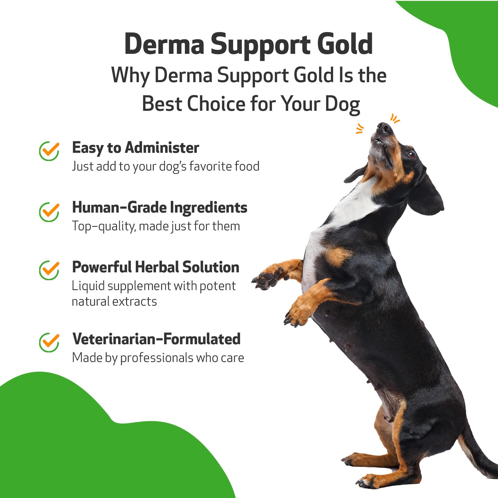 Pet Wellbeing Derma Support Gold for Dogs - Herbal Supplement for Normal Skin & Yeast Balance, 2 fl oz (59 ml), Veterinarian-Formulated