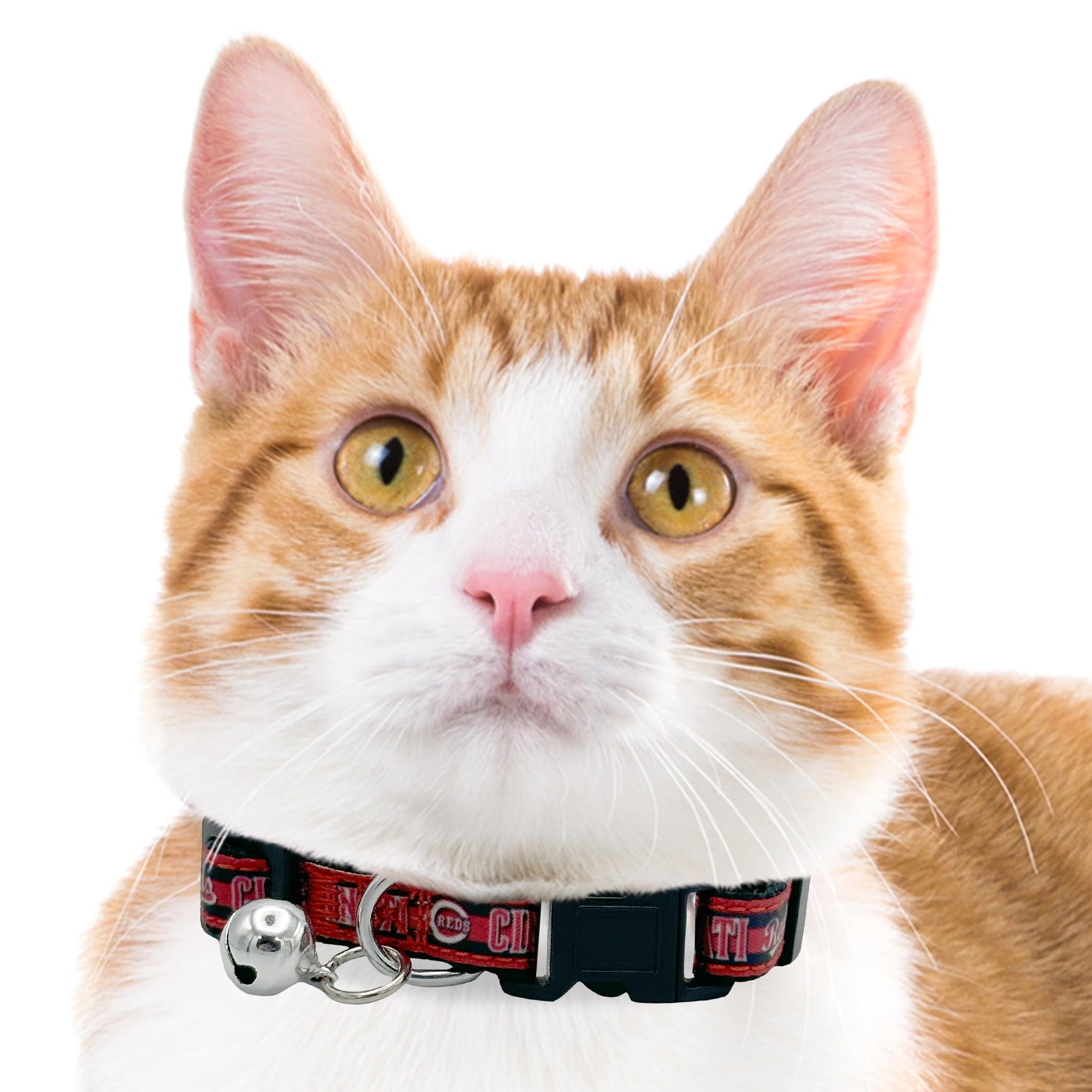 Mlb Cat Collar Cincinnati Reds Satin Cat Collar Baseball Team Collar For Dogs & Cats. A Shiny & Colorful Cat Collar With Ringing