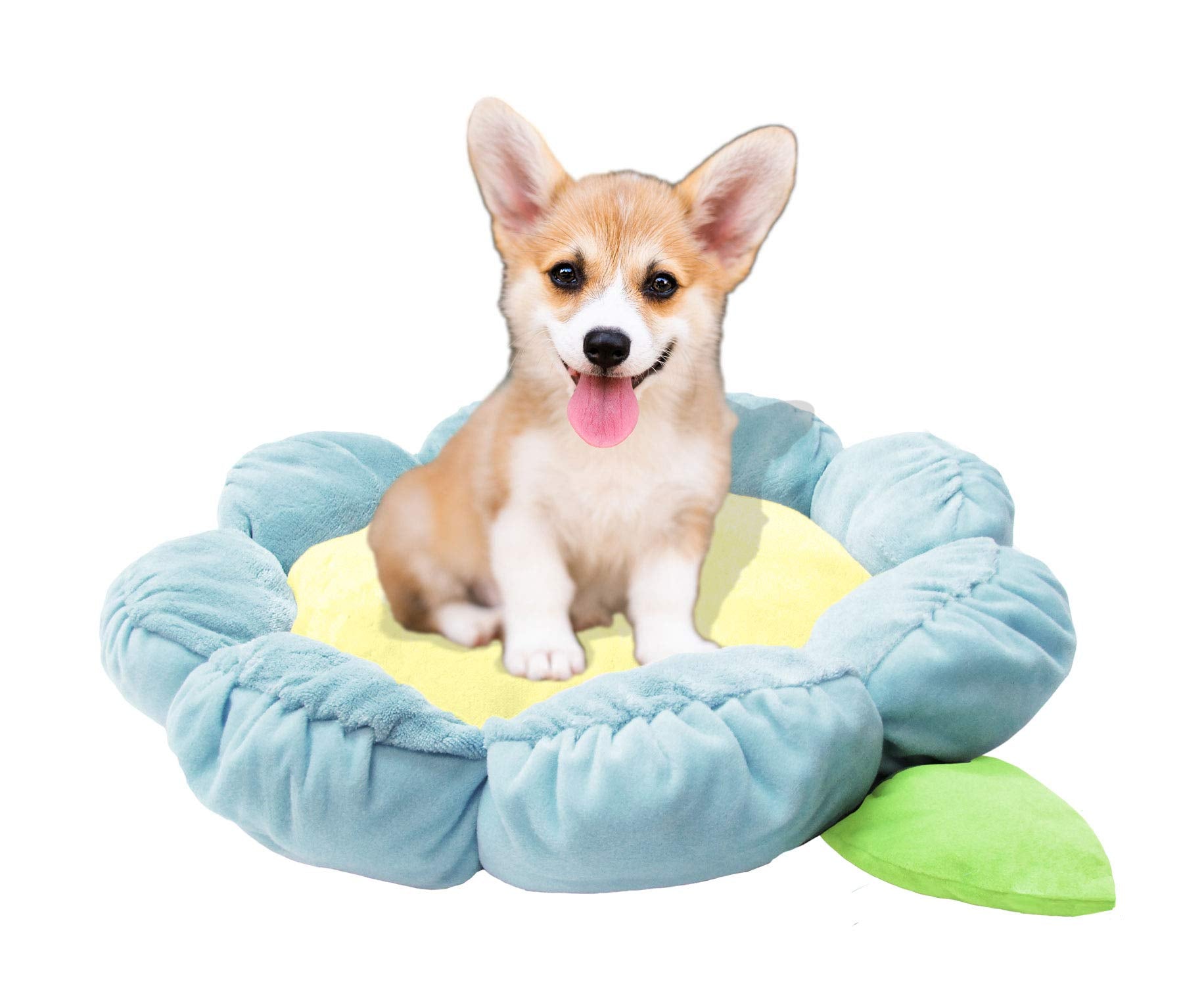 Tonbo Soft Plush Small Cute And Cozy Nature Dog Cat Bed, Washer And Dryer Friendly (Blue Flower)