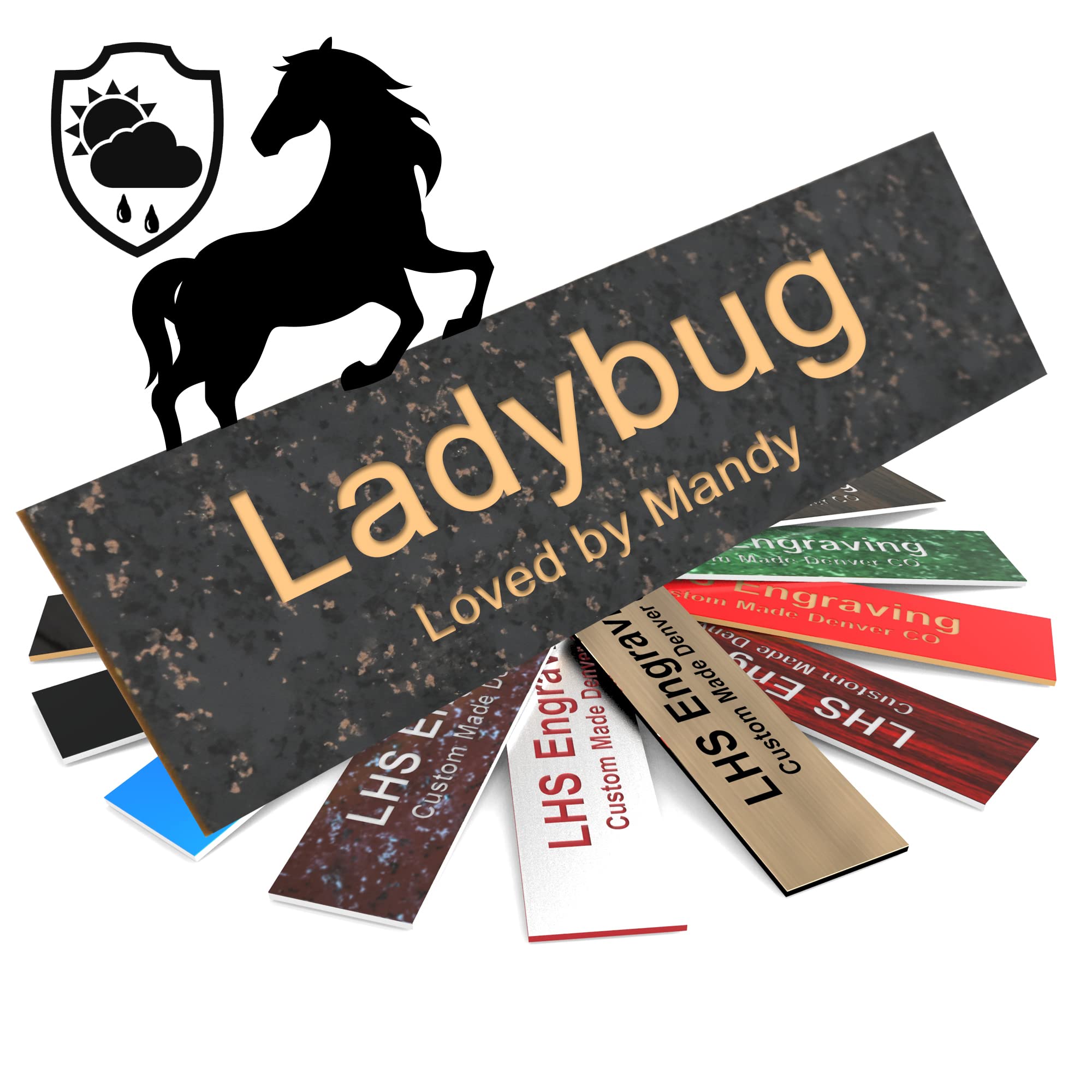 Lhs | Horse Stall Name Plate, 2X8 Personalized Stall Signs, Uv Protected, All Weather Adhesive, Hanging, Mounting Or Other, Char