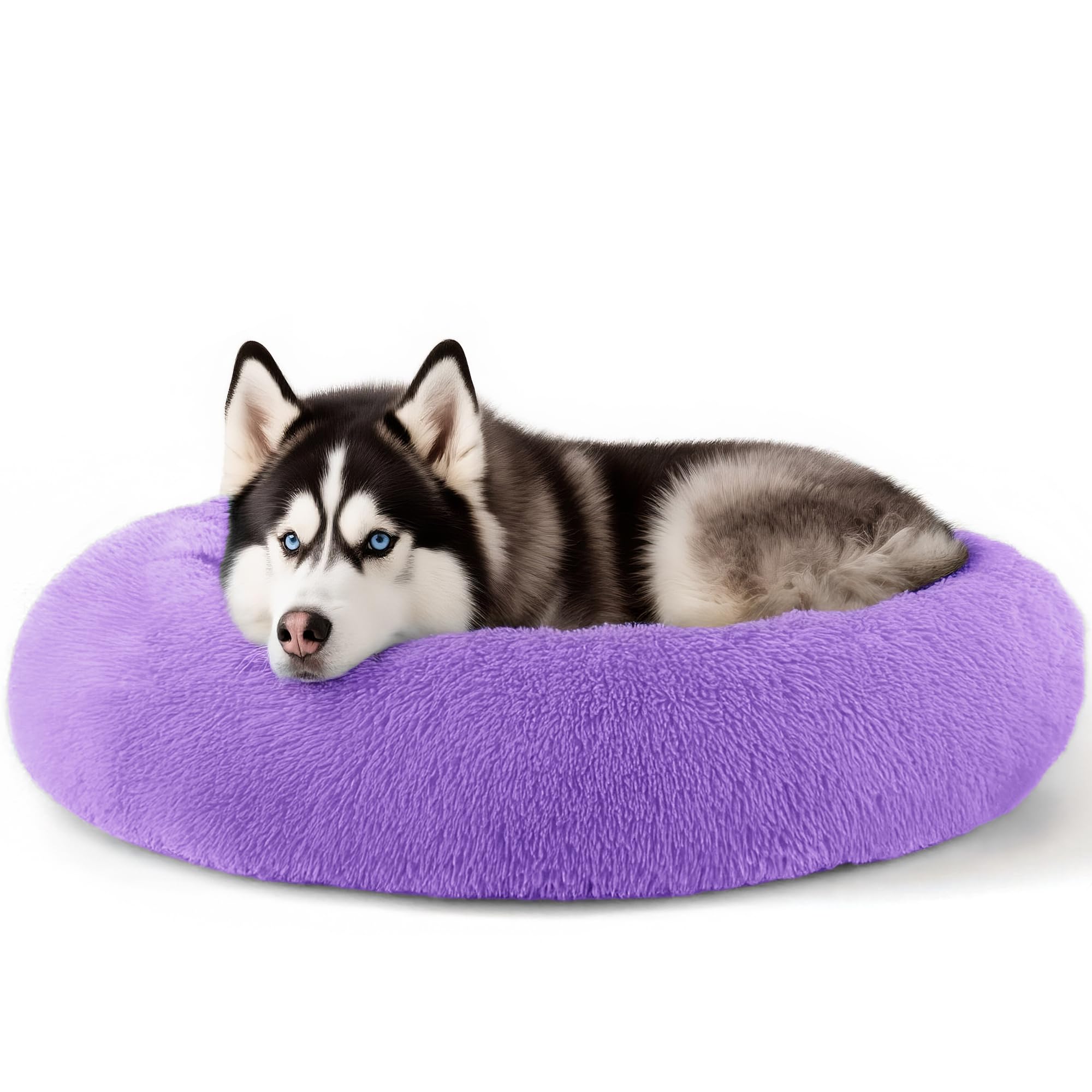 Extra Large Dog Beds, 36 Inch Human Dog Anxiety Relief Comfort Bed, Indestructible & Chew Proof Pet Beds (Purple)
