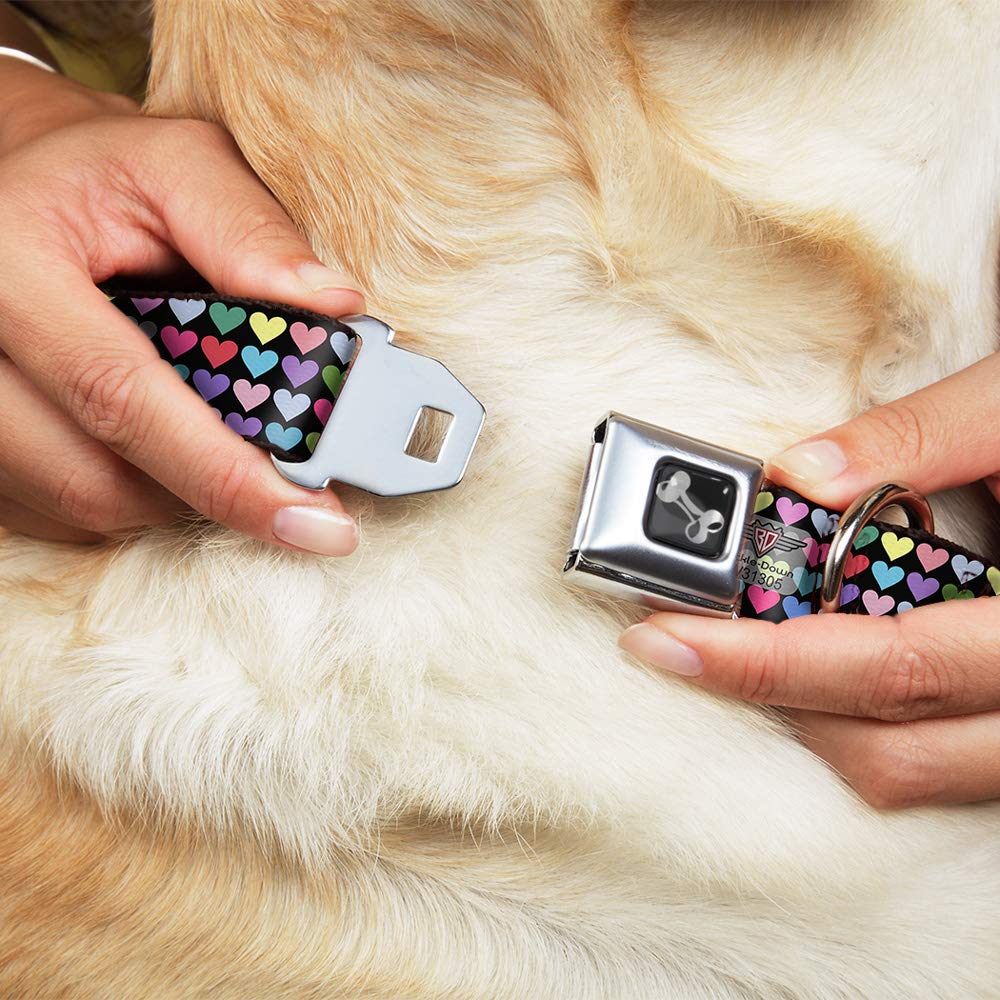 Buckle-Down 15-26 Mini Hearts Black/Multi Color Dog Collar Bone, Large