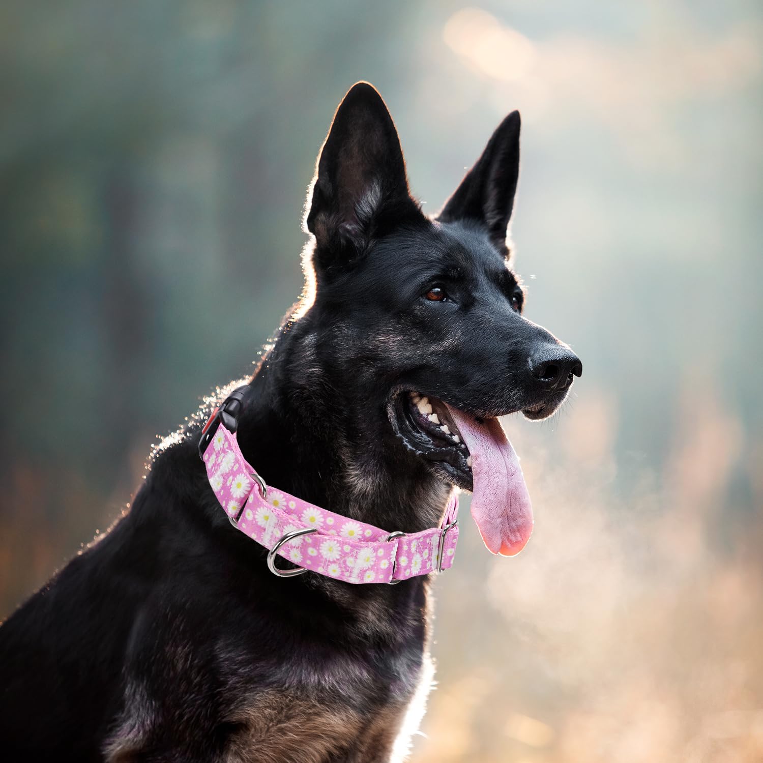 Martingale Collar For Dogs, Pink Daisy Flowers Martingale Dog Collar Adjustable Premium Collar With Quick-Release Buckle, Perfec