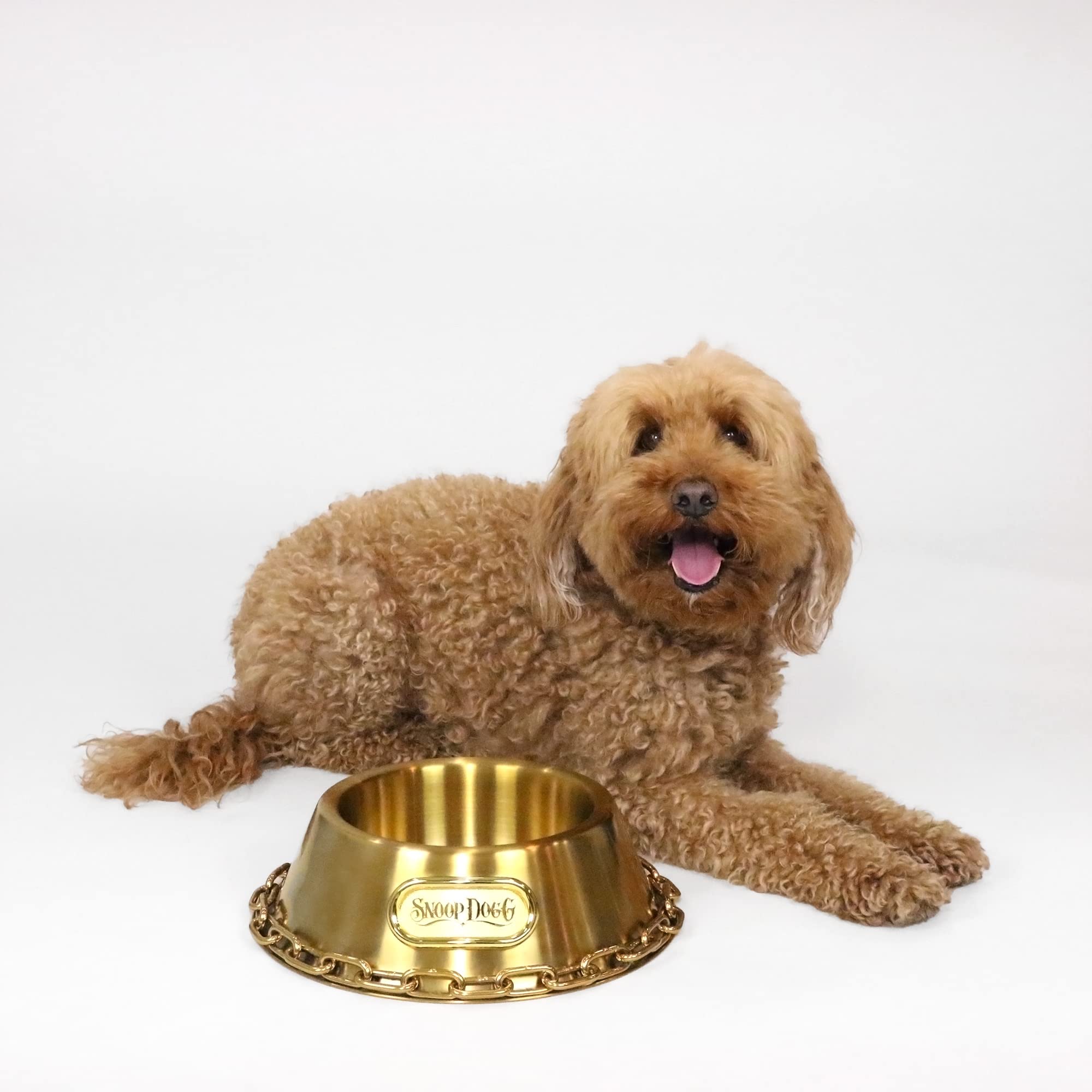 Snoop Doggies Doggs Deluxe Off The Chain Pet Bowl, Gold, Small