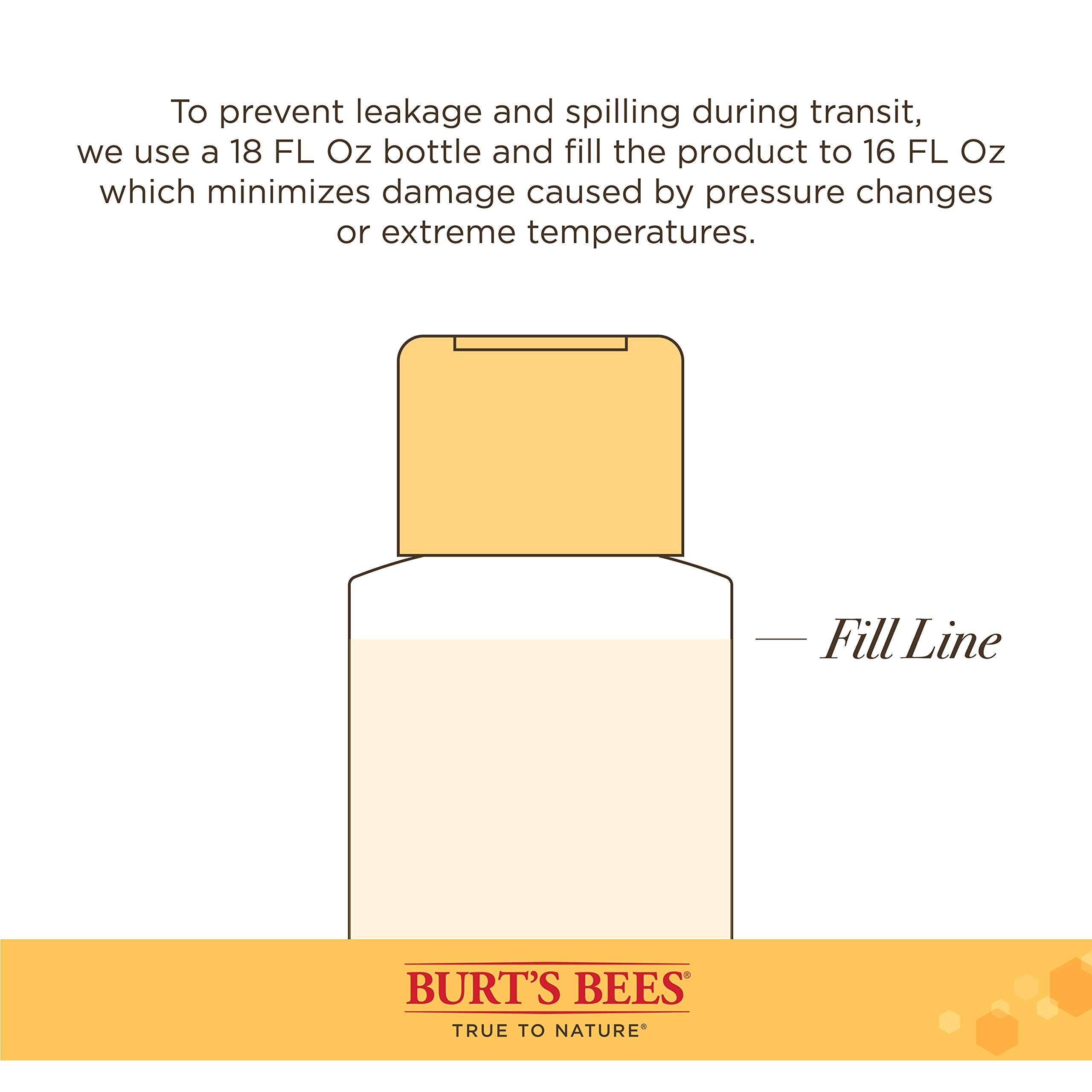 Burt'S Bees For Pets Calming Dog Shampoo With Lavender And Green Tea, 95% Natural Origin Formulas, Soothing Canine Cleanser - Gentle Wash, 16 Oz