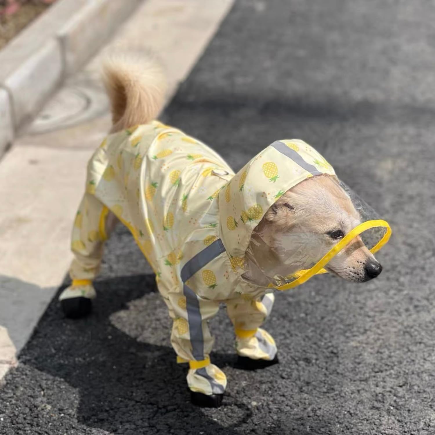 Harikaji Small Dog Raincoat, Tail Protect Feet Cover Waterproof Dog Rain Jacket For Puppy (Pineapple, Xs)