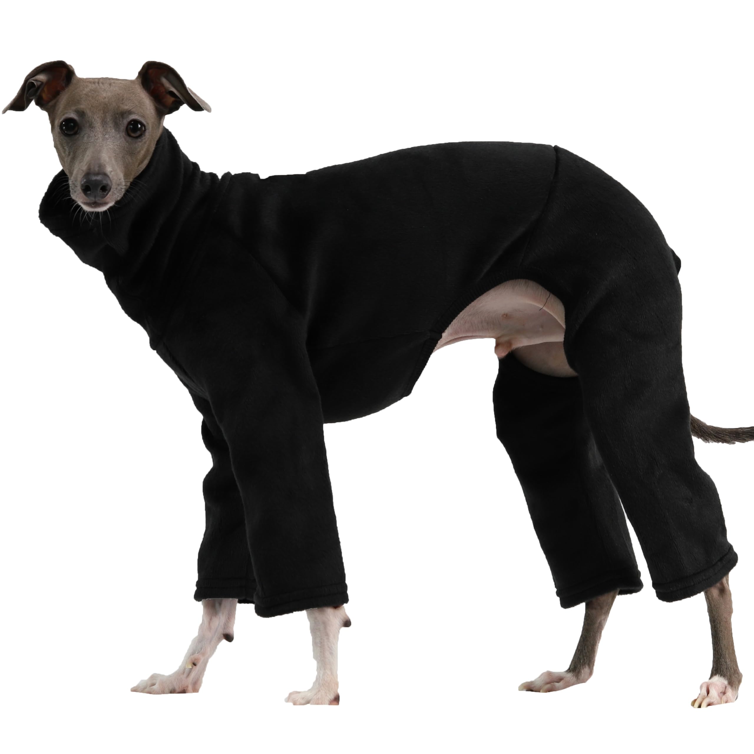 D Doggy Star Italian Greyhound Clothes Sweater Fleece Basic Onesie Whippet For Dog Turtleneck Outfits Coat (2Xl,Flce Black)