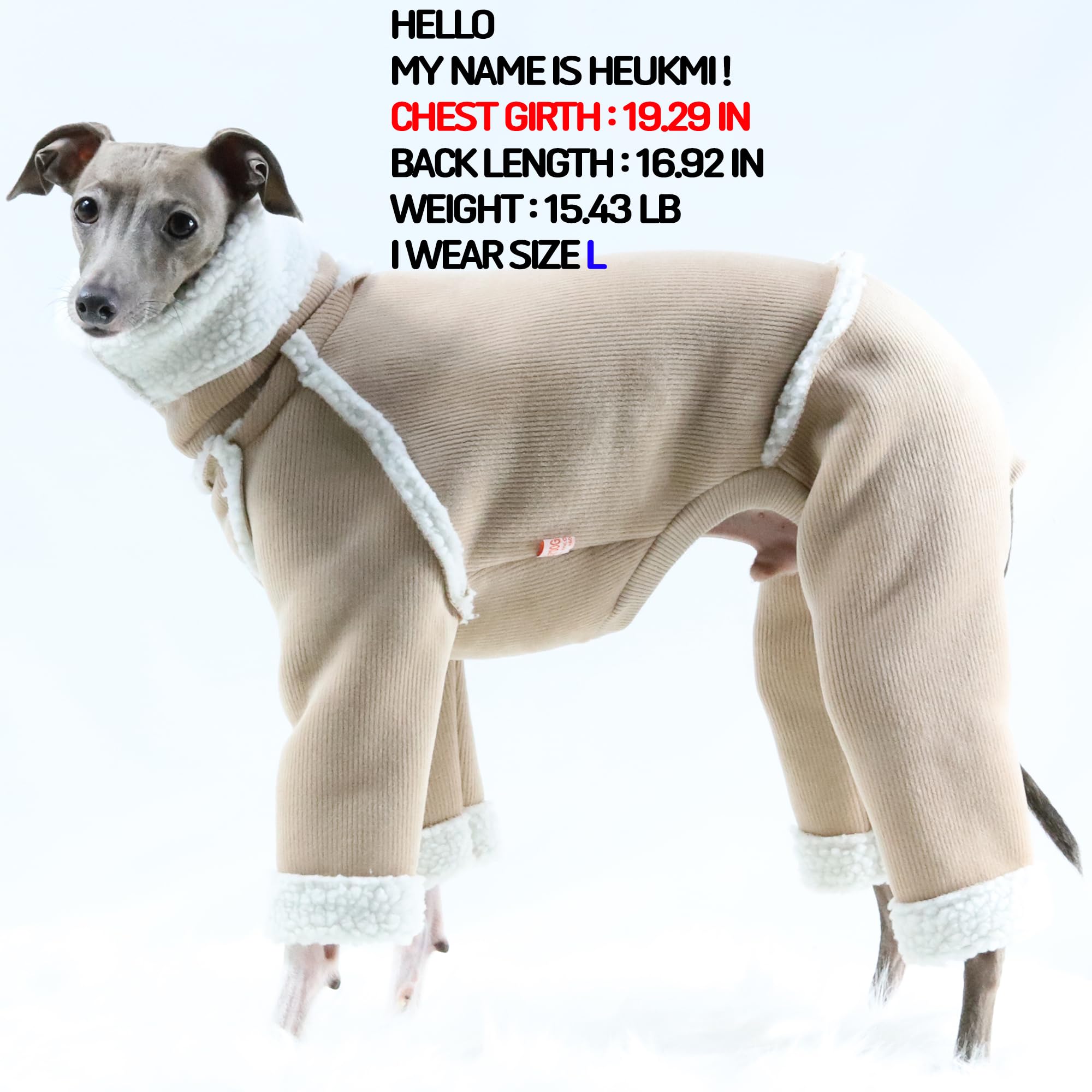 D Doggy Star Italian Greyhound Cold Weather Coat Warm Fleece Corduroy Sweater Turtleneck Onesie Clothes Whippet For Dog (M,Cordu