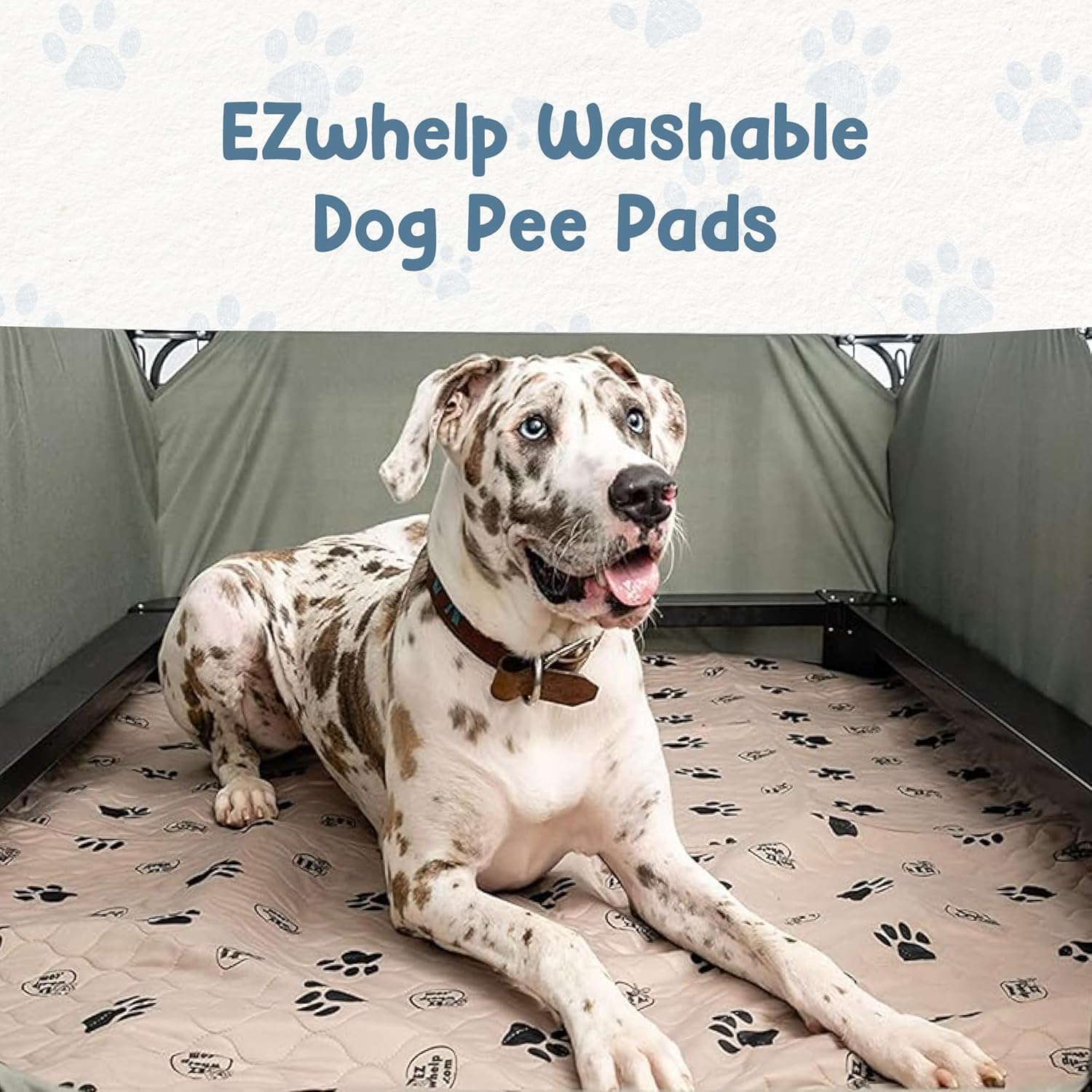 Ezwhelp Reusable Dog Pee Pads, Washable Waterproof Mats For Potty Training Or Whelping Pads, Puppy Pad With Rounded Corners, 36X48 Inch, 2 Pack