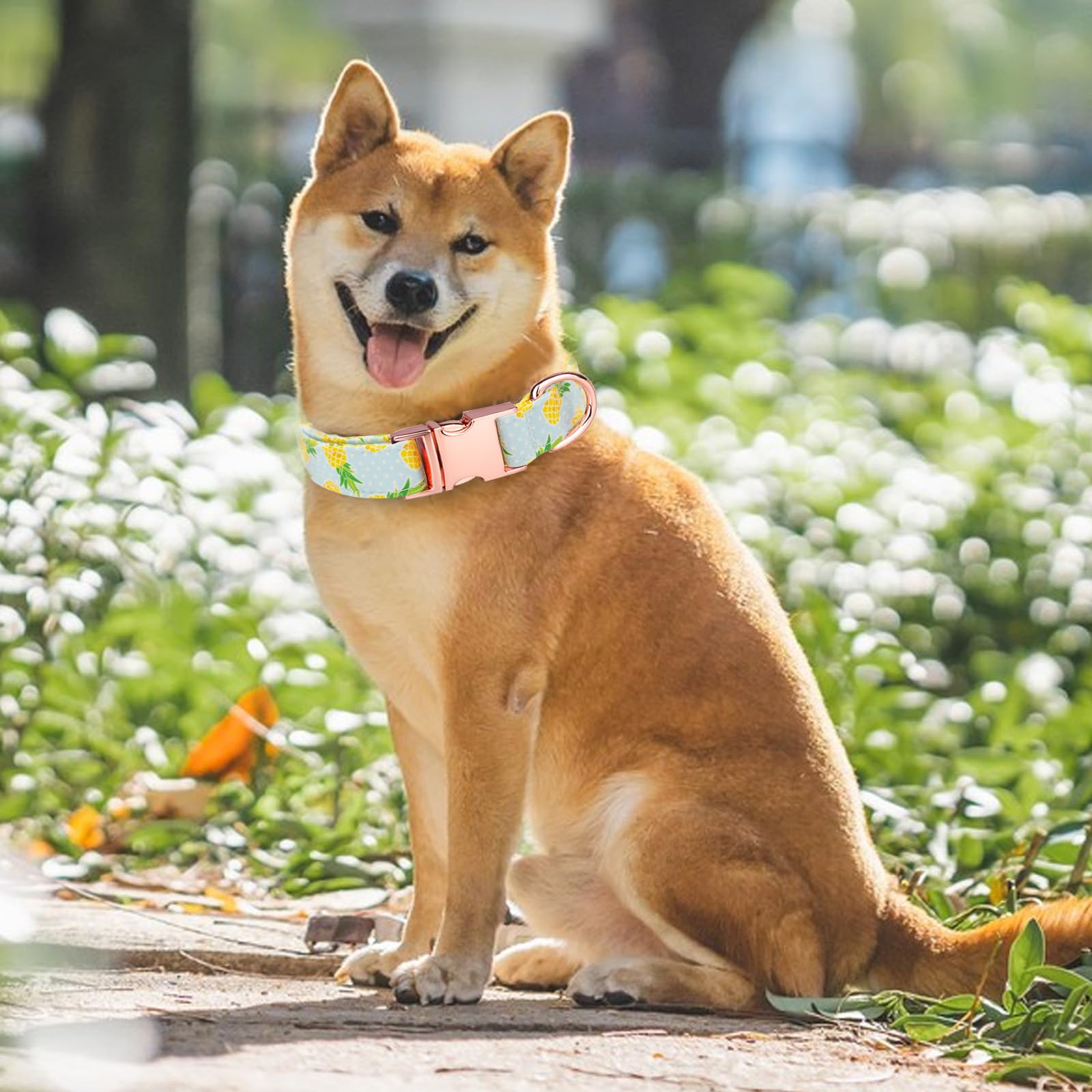 HSIGIO Dog Collar and Leash Set Girls Adjustable Puppy Collars with Fruit Bow Tie for Small Medium Large Female Dogs, Pineapple,