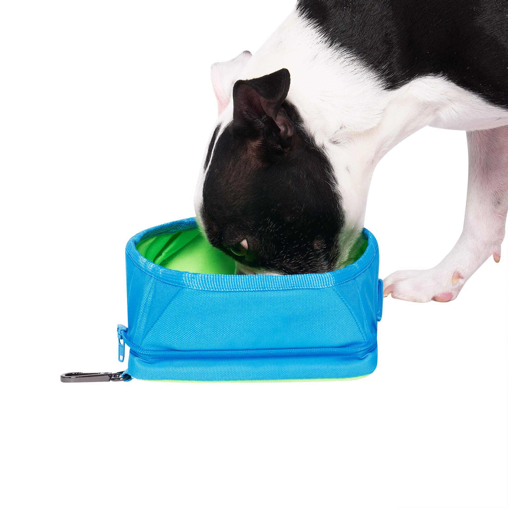 Canada Pooch Portable Water Bowl For Dogs - Collapsible Dog Water Bowl With Cooling Effect | Leak Free Insulated Foldable Dog Bowl With Separate Compartment Ice Pack, Keeps Water Cold
