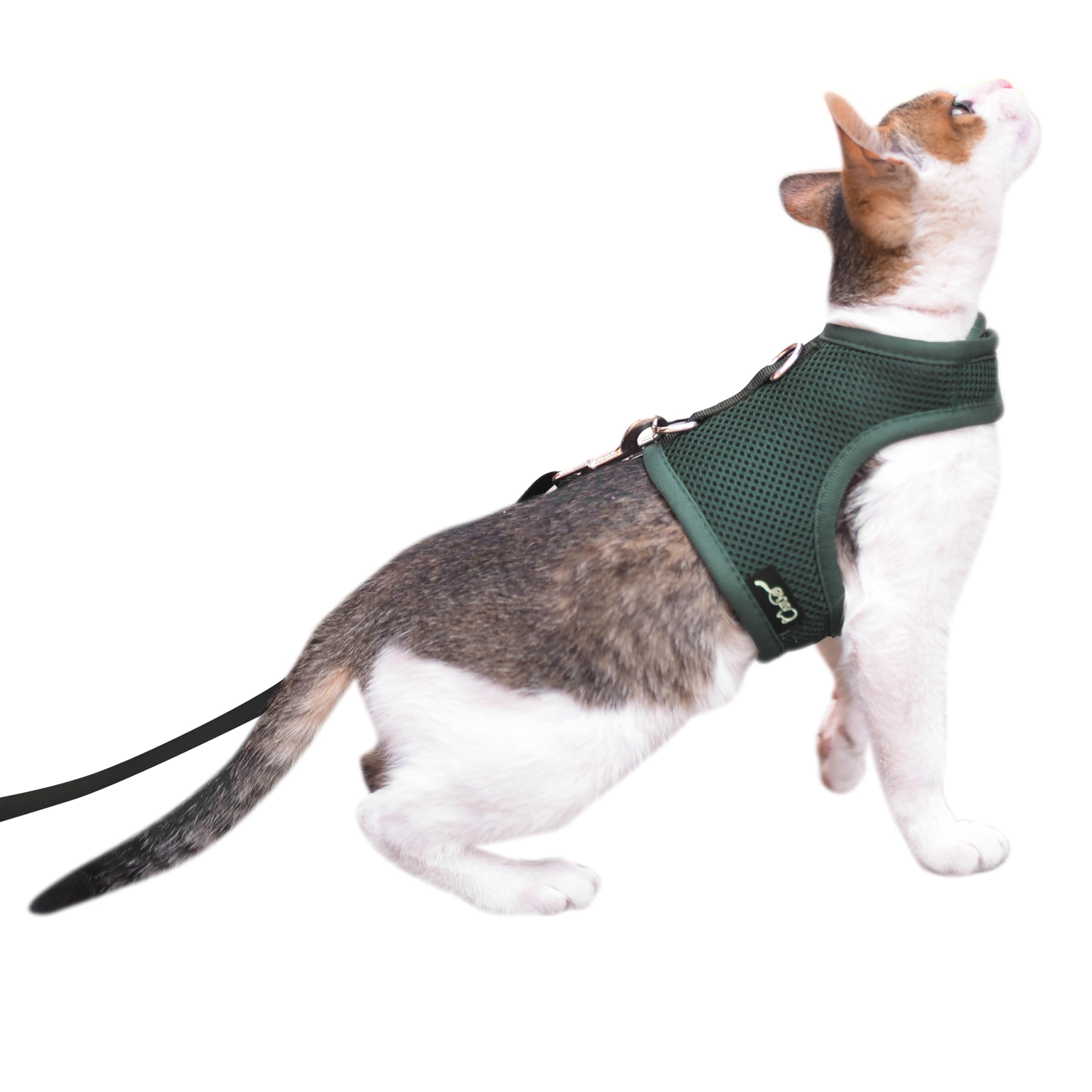 Cat Harness and Leash for Walking Escape Proof Breathable Mesh Fabric, Solid Green, Medium, Adjustable Cat Walking Jackets, Padd