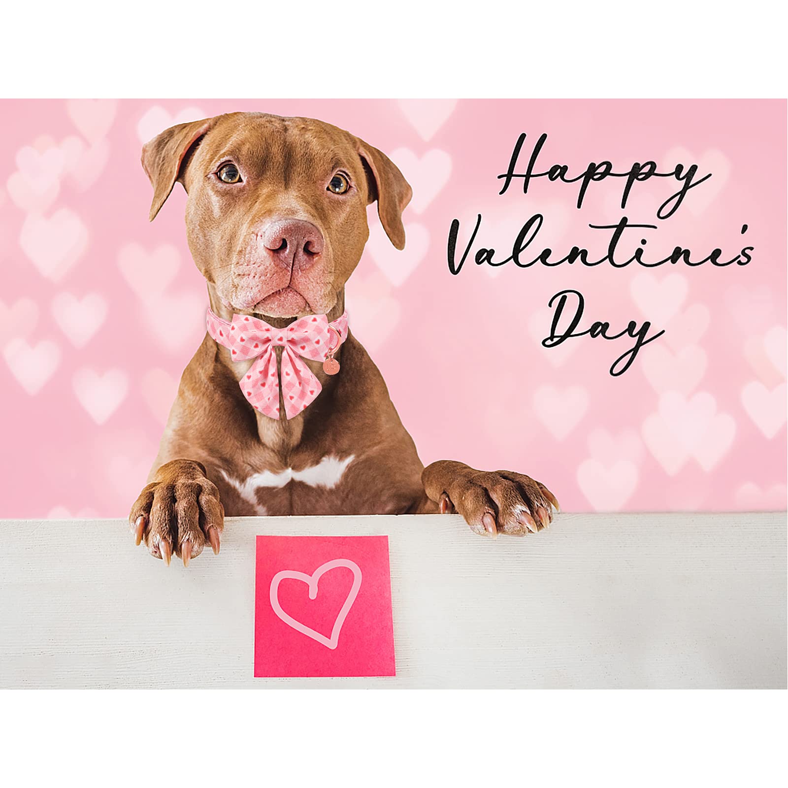 Up Urara Pup Valentine Dog Collar With Bow Tie, Valentine Bowtie Collar For X-Large Girl Boy Dog, Cotton Collar With Metal Buckle, Valentine’S Day Gift Pet Collar, Xl, Neck 16-26In, Pink Plaid