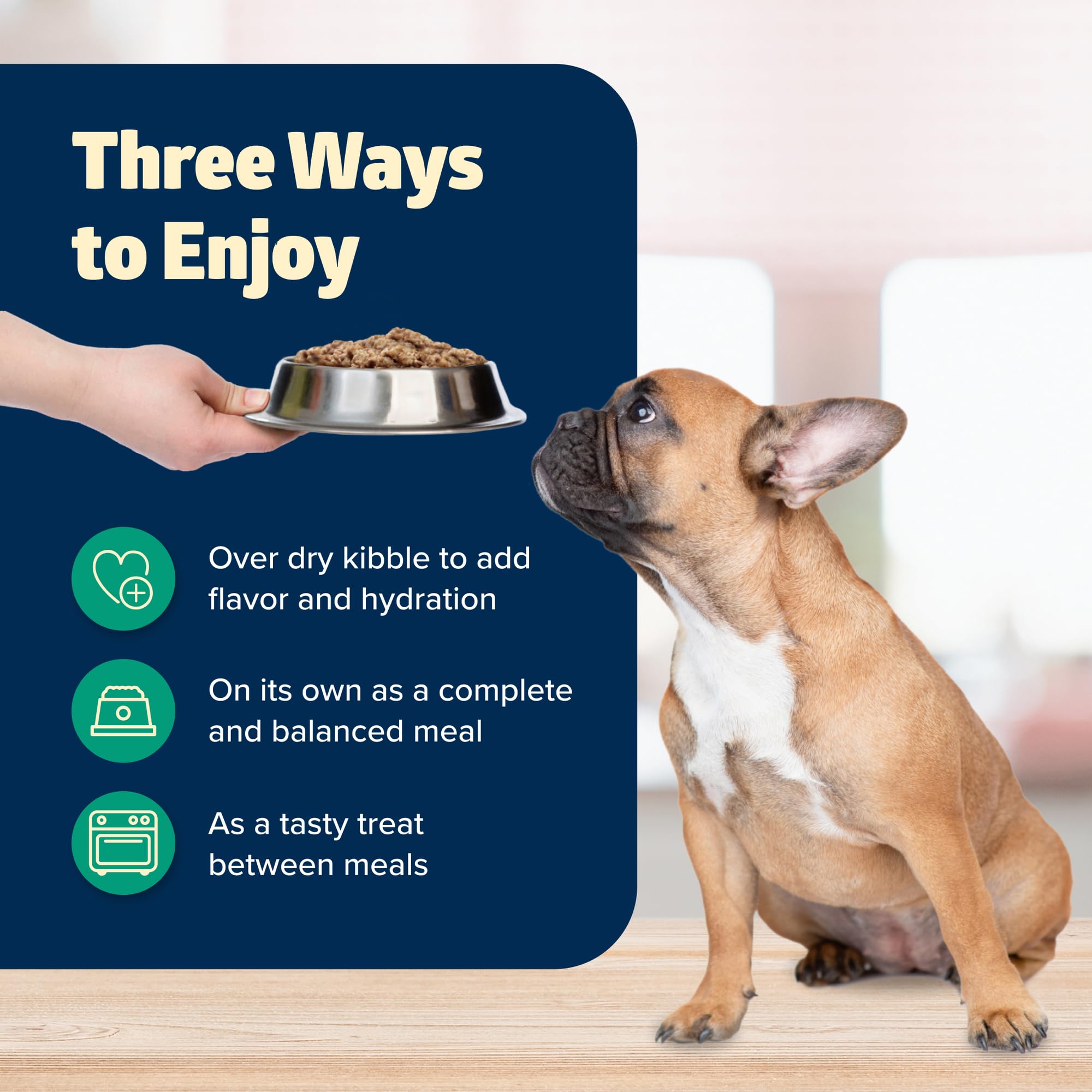 Blue Buffalo Freedom Grain-Free Wet Dog Food, Free of Glutens & Artificial Preservatives, Made with Natural Ingredients, Lamb Re
