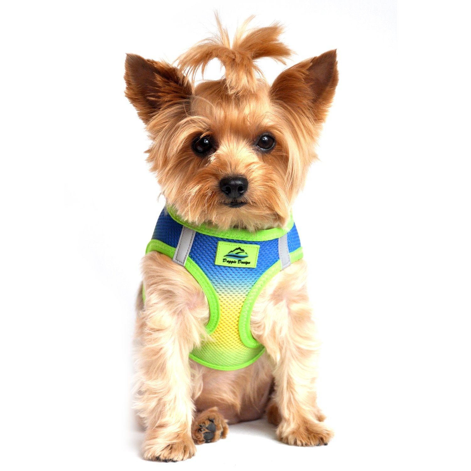 Doggie Design American River Dog Harness Ombre Collection - Cobalt Sport Xs