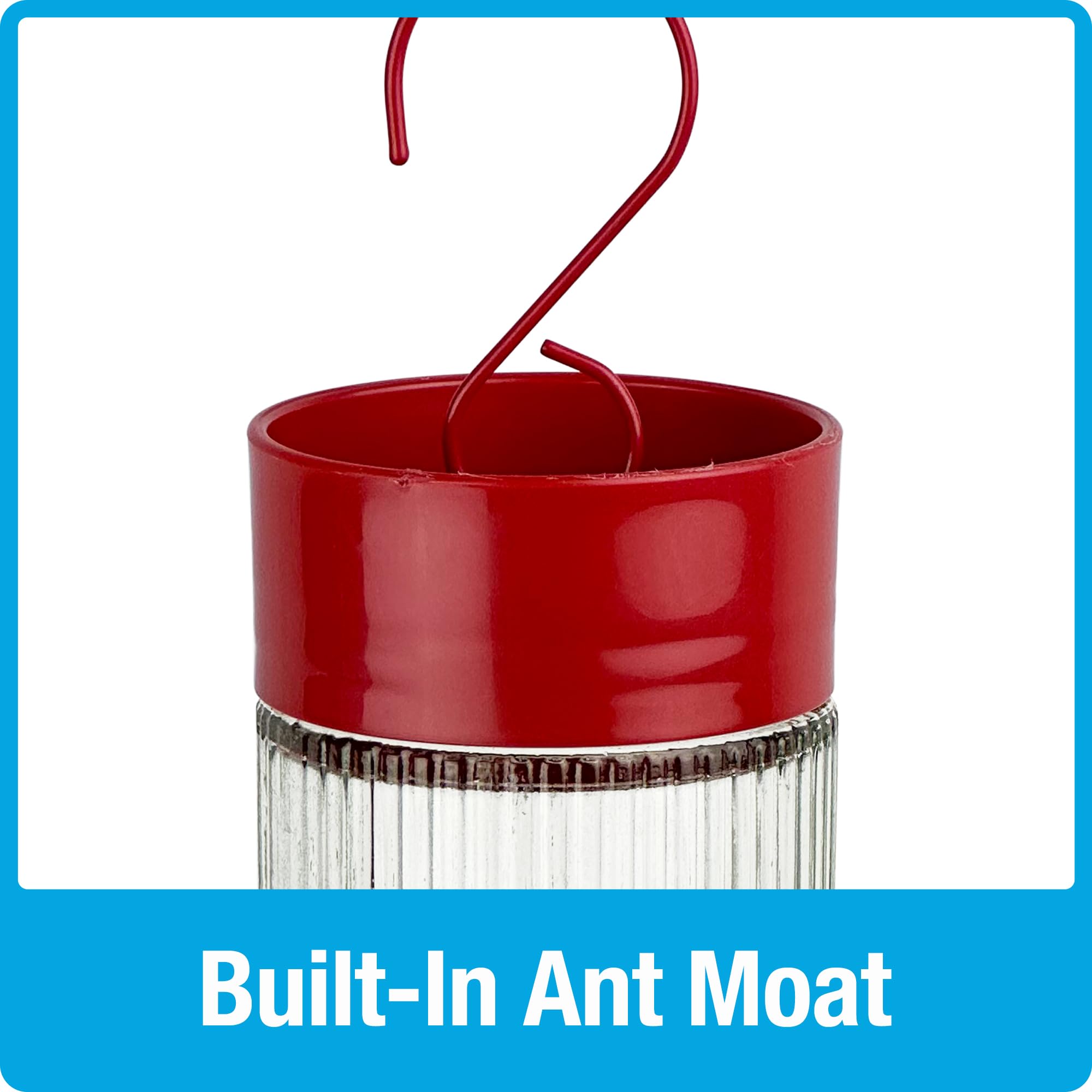 Natures Way Hanging Glass Hummingbird Feeder for Outdoor D  cor, 28 Ounce Capacity Nectar Feeder, Ant Moat, 7 Easy to Clean Fle