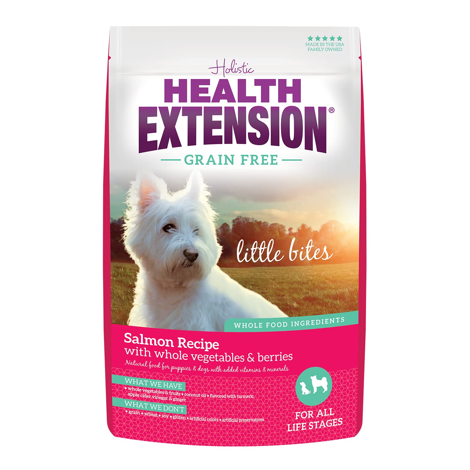 Health Extension Grain Free Salmon Little Bites (12 lb / 5.44 kg) - Whole Foods Ingredients Formula with Omega 3 & Probiotics fo