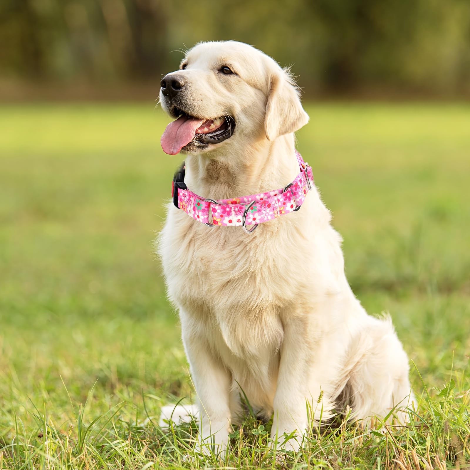 Pink Martingale Collar For Medium Dogs With Safety Buckle, Adjustable Girl Dog Collars With Flowers Design, Heavy Duty No Slip C