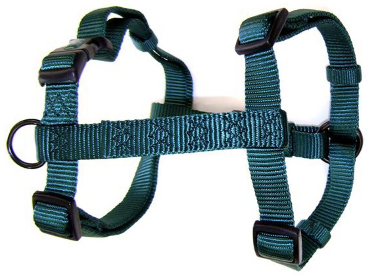 Hamilton Adjustable Comfort Nylon Dog Harness, Dark Green, 3/4'' x 20-30''