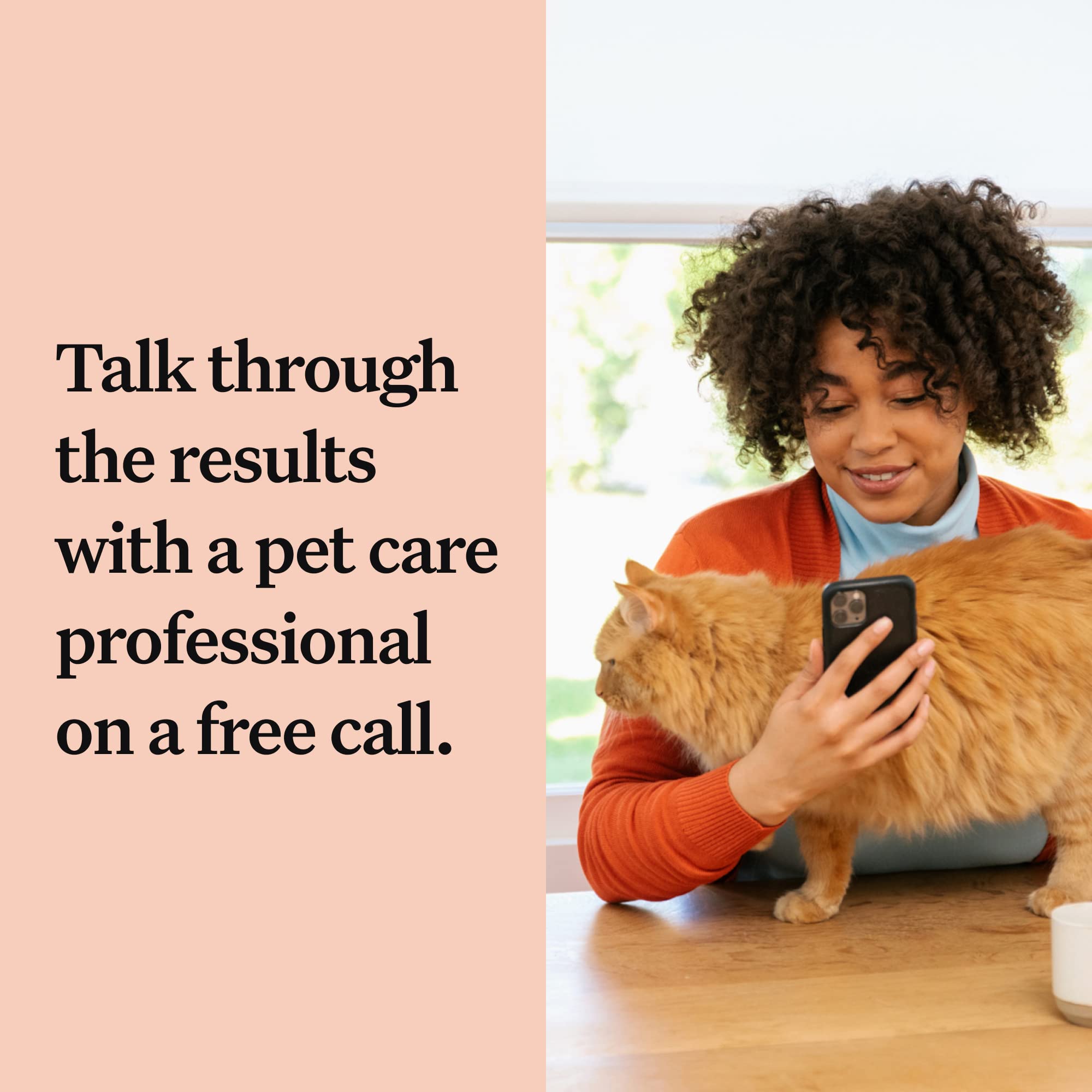 Wisdom Panel Complete: Comprehensive Cat DNA Test for 45 Health Genetic Health Conditions | 70+ Breeds and populations | 25+ Tra