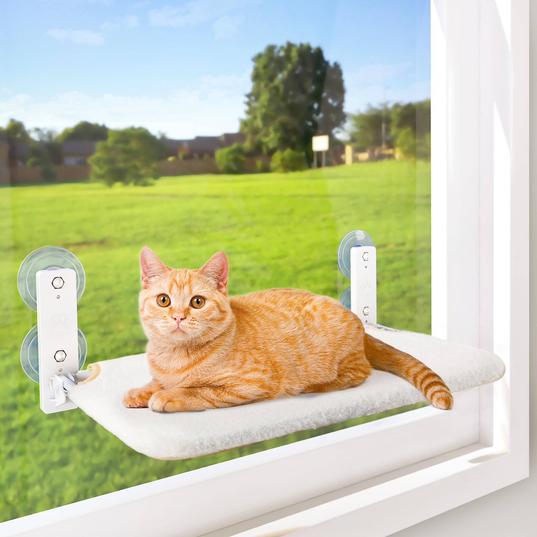 Amosijoy Cordless Cat Window Perch, Cat Hammock For Wall With 4 Strong Suction Cups, Solid Metal Frame And Two Replaceable Covers, Foldable Cat Beds For Indoor Cats (Medium-White)