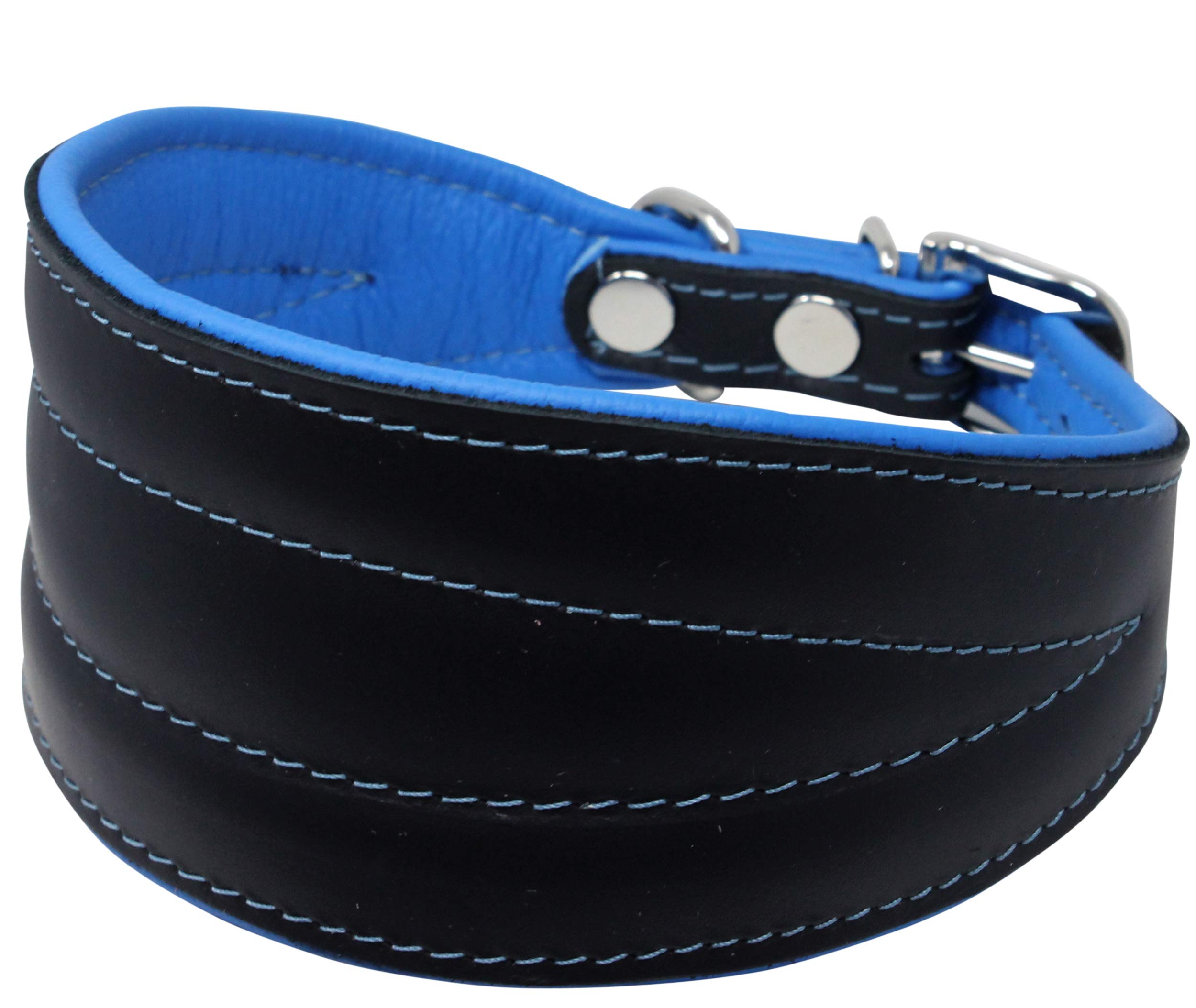 Real Leather Extra Wide Padded Tapered Dog Collar Glossy Black Greyhound Saluki Deerhound Lurcher Whippet Dachshund (16.75''-20'