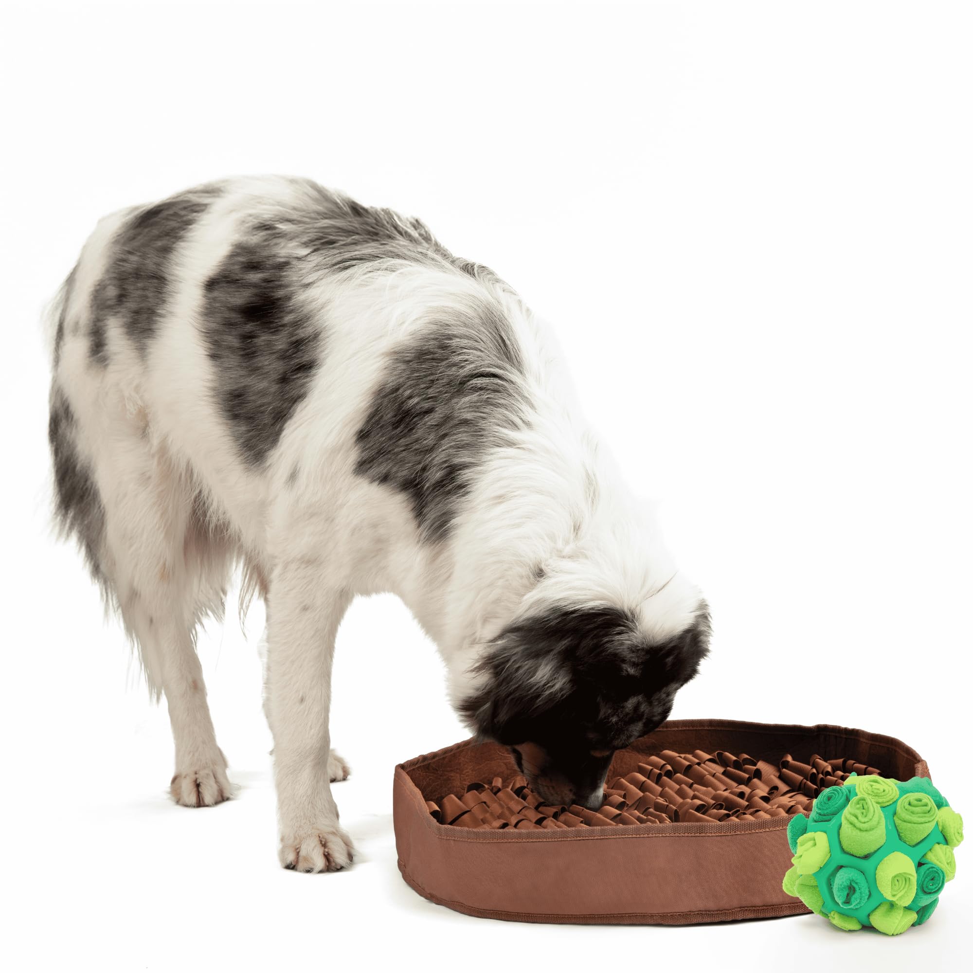 Reggie Enrichment Value Pack For Dogs With Stimulating Feeder Mat And Forager Ball To Relieve Speed Eating, Boredom, Stress | Ve