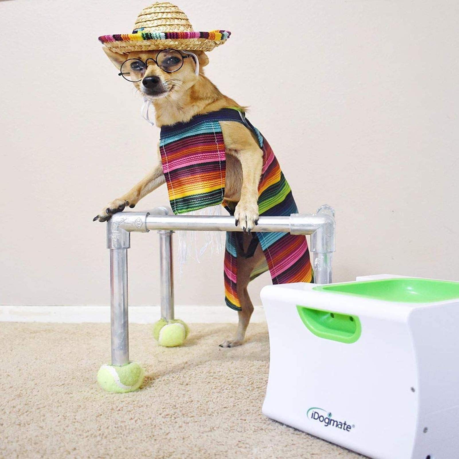 Idogmate Small Interactive Ball Launcher With Rechargeable, Automatic Dog Ball Thrower For Mini Dog (Small Machine With 3 Balls)