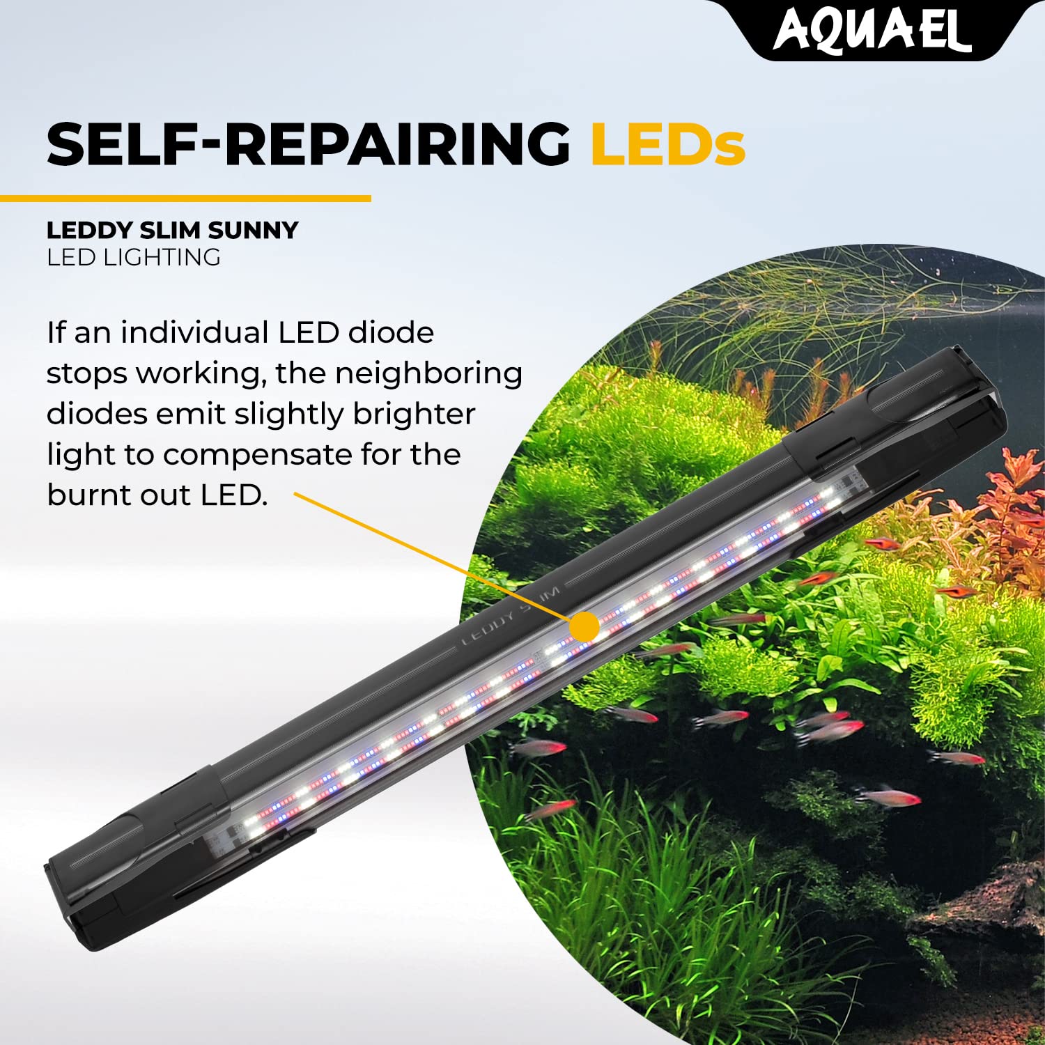 Aquael Leddy Slim Sunny Premium Aquarium Light (White, 5W 8'-11.75')