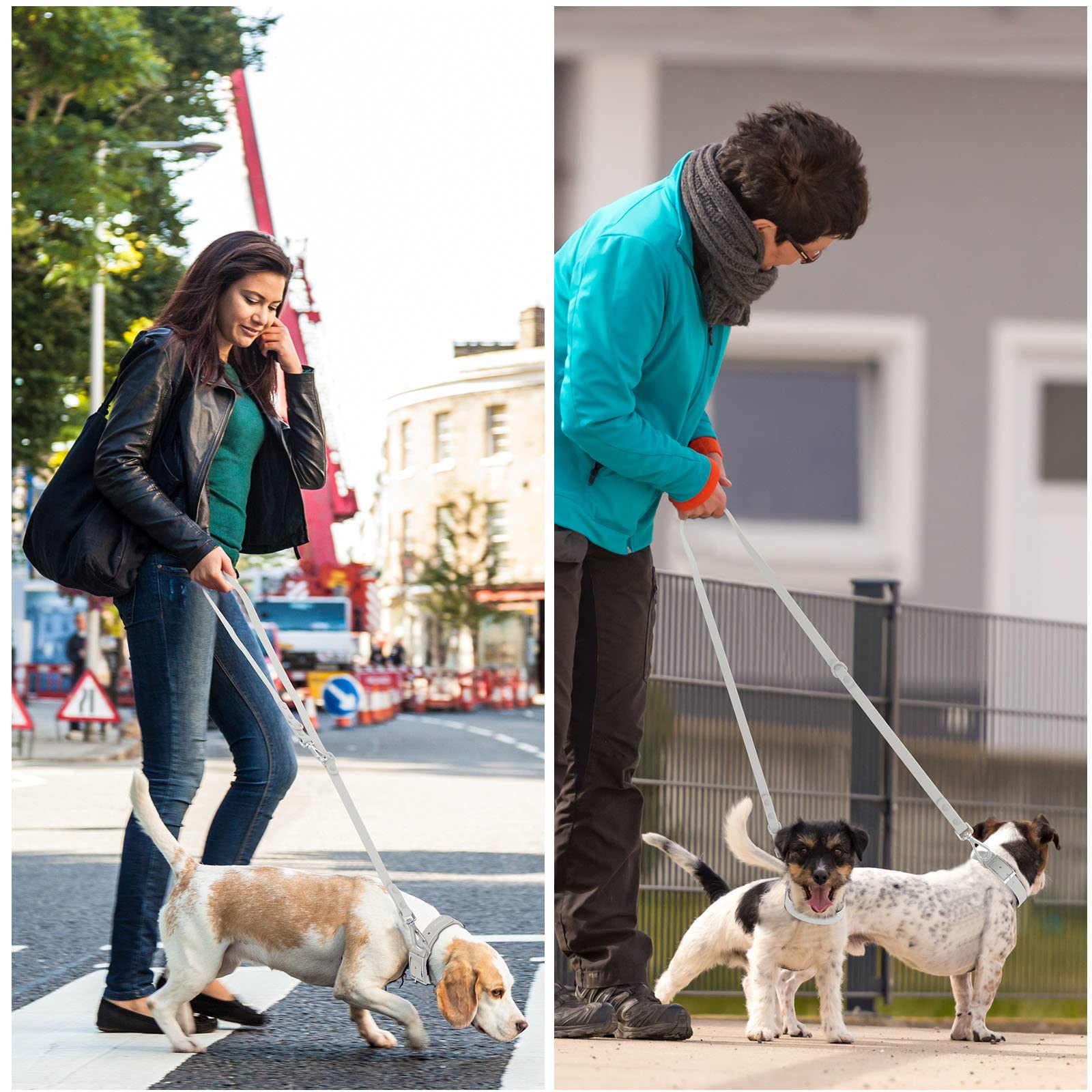 Waterproof Dog Leash: Standard Dog Leashes With 2 Hooks For Walking, Adjustable Lengths For Traffic Control Safety, Durable And Odor Proof, For Medium Large Dogs (L|3/4 In × 6 Ft, Gray)