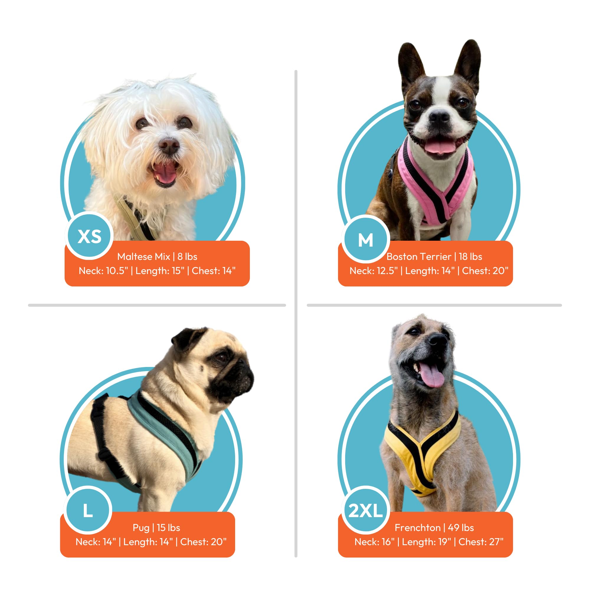 Gooby Comfort X One Dog Harness - Head-In Dog Harness For Small & Medium Sized Dogs - Escape-Free & Choke Free - Breathable Mesh, Shock Absorbing, Easy Snap & Swivel Buckles - Flamingo Pink, Small
