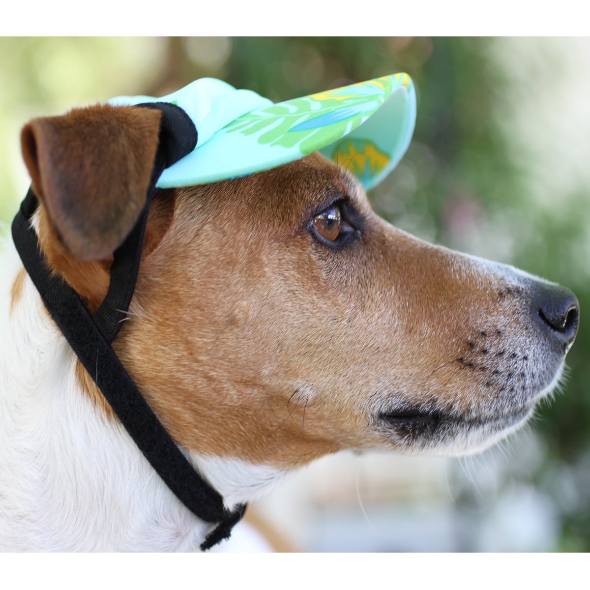PlayaPup Sun Protective Dog Visor, Plumeria Pink, X-Large