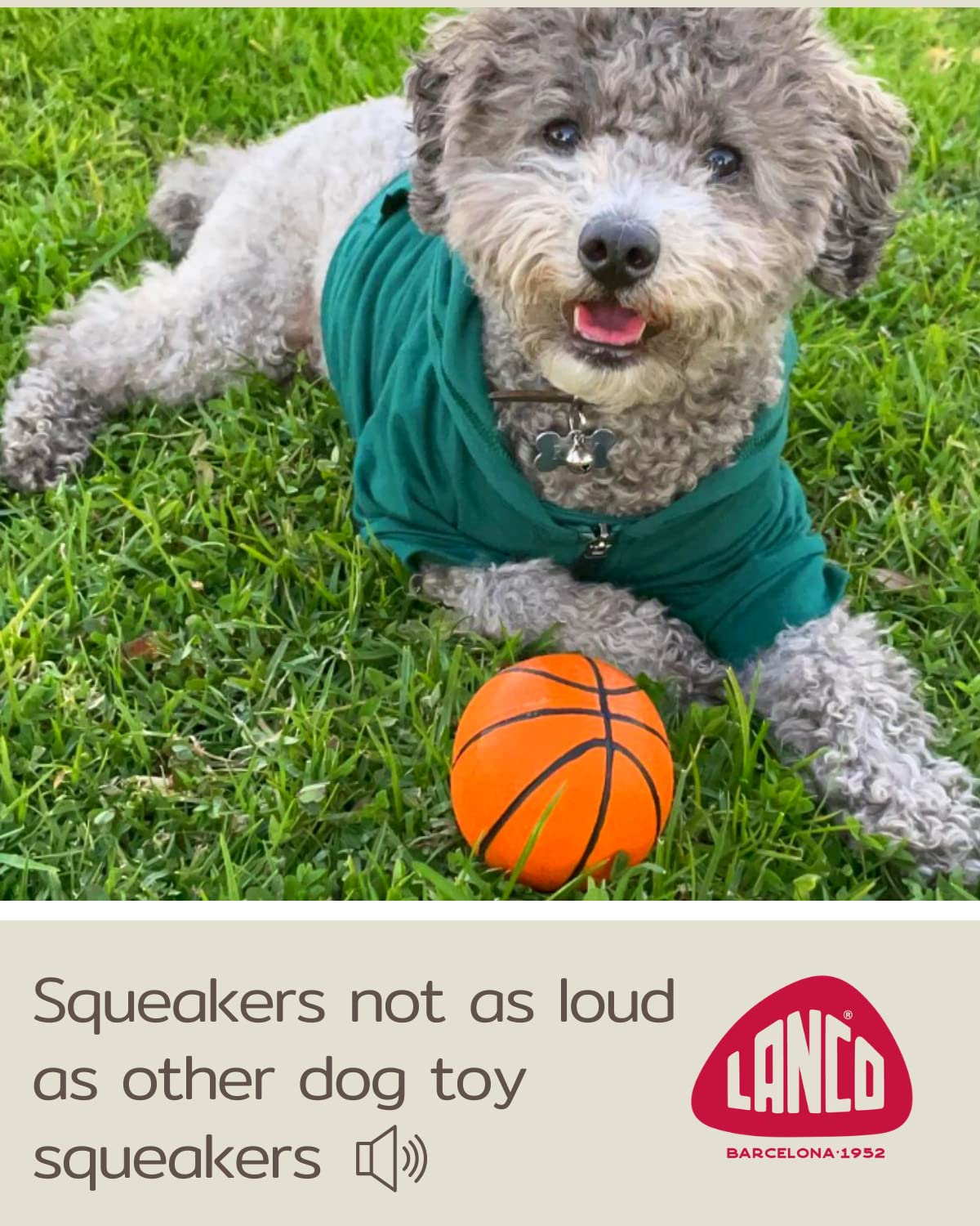 Basketball - Soft, Squeaky Dog Toy - Natural Rubber (Latex) - For Medium & Large Breeds - 3.5' Diameter - Bouncy - Free From Harmful Chemicals- Handpainted - Indoor Play
