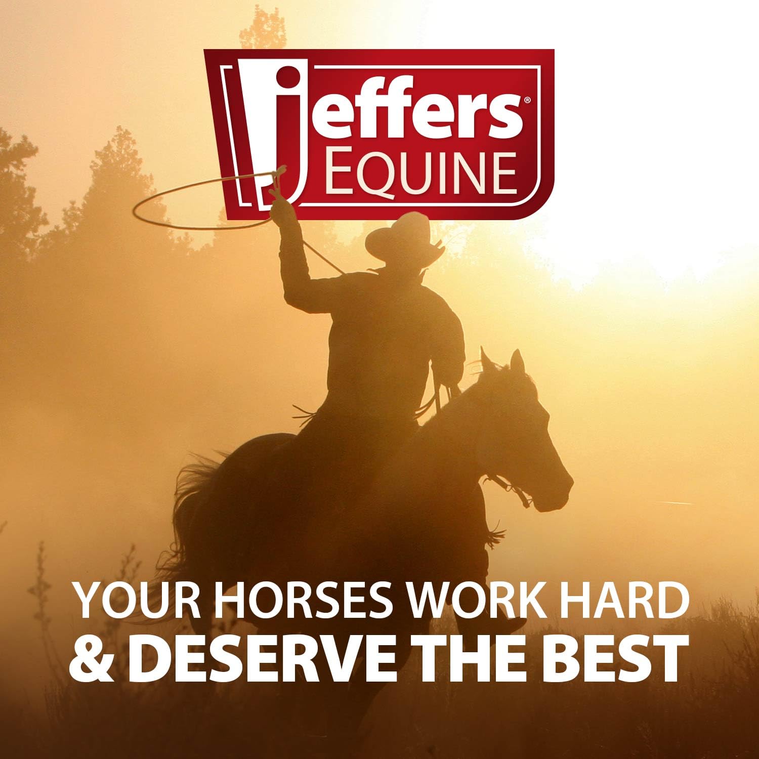Jeffers Equine Sheath Cleaner For Horses - Gentle Ph Balanced Wash With Tea Tree Oil & Aloe - Removes Dirt & Debris - Grooming &