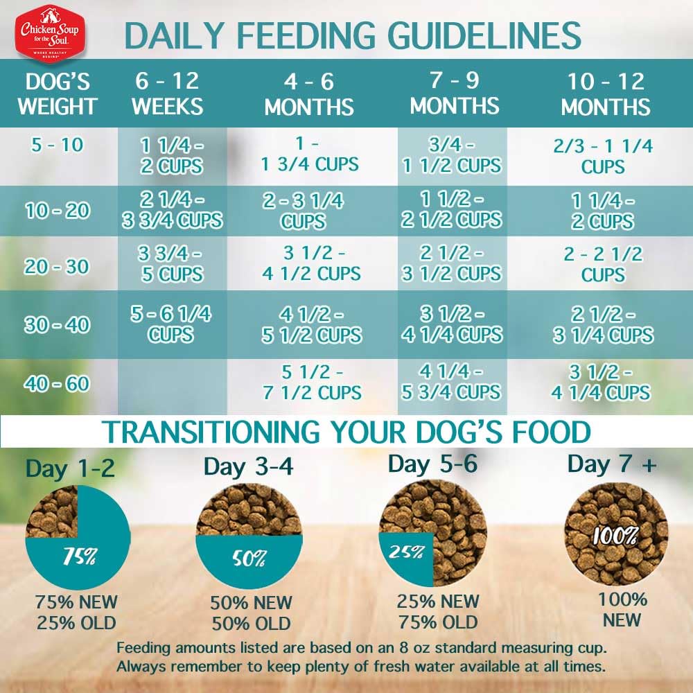 Chicken Soup for The Soul All Natural Premium Dry Puppy Food, Real Meat First Ingredient, No by-Products, Supports Brain Develop