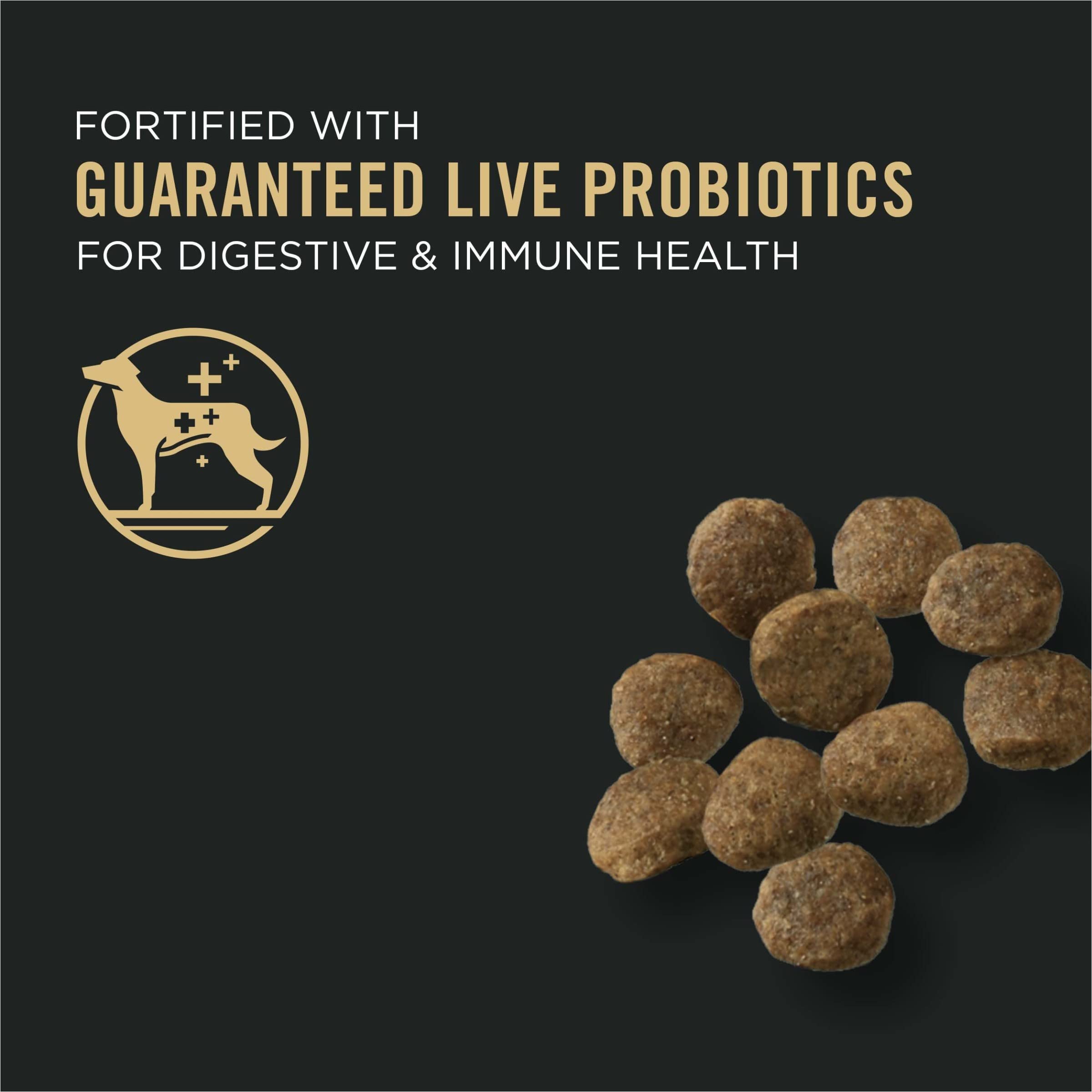 Purina Pro Plan Sensitive Skin and Stomach Puppy Food Lamb and Oat Meal Formula - 4 lb. Bag